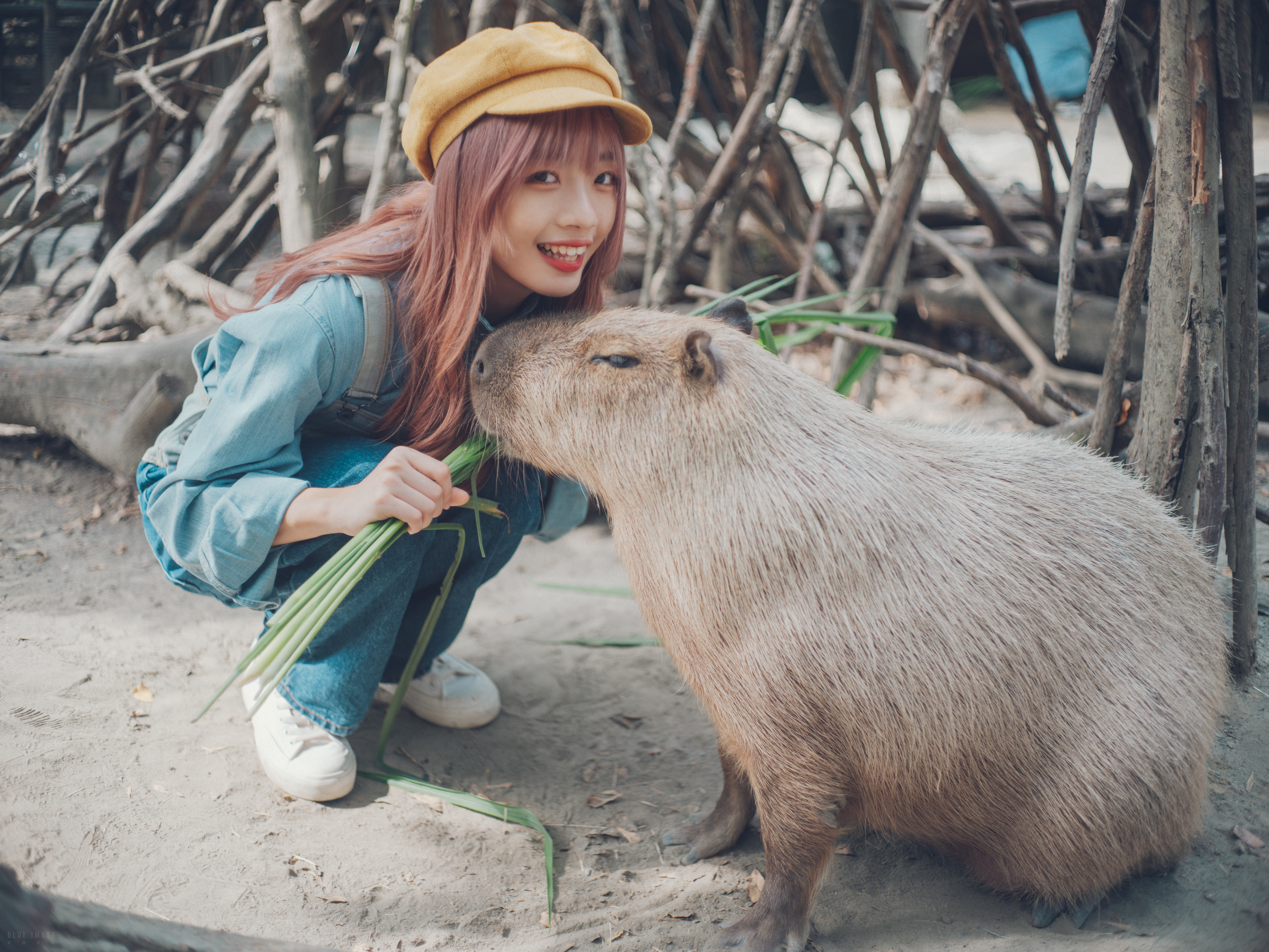 People 3840x2880 Asian women model animals mammals squatting smiling plants looking at viewer hat women with hats dyed hair Capibara