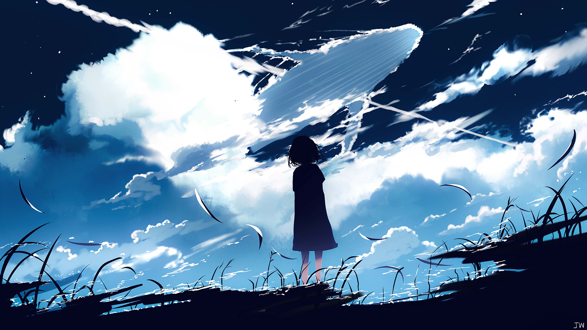 Anime 1920x1080 silhouette clouds grass stars whale sky