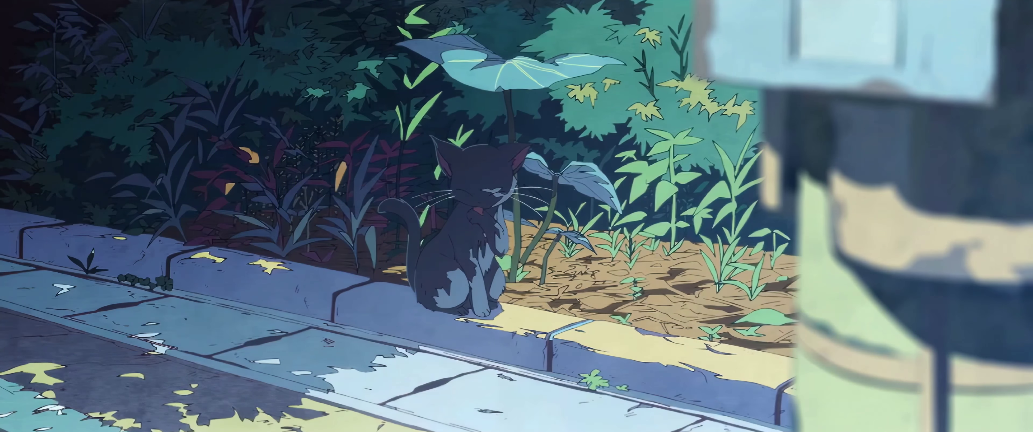 Anime 3440x1440 Komi-san wa, Comyushou desu. grass cats anime