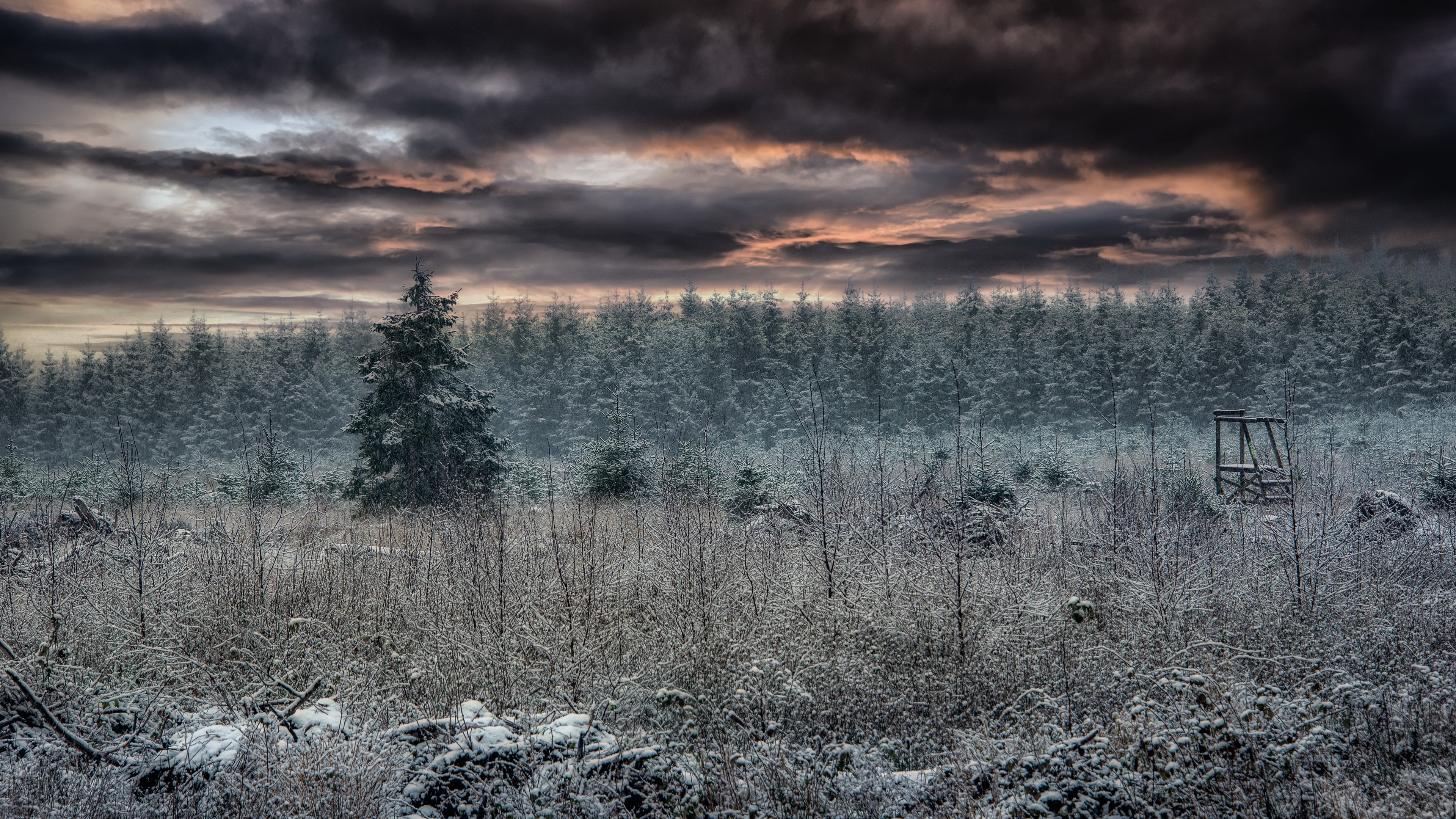 General 3840x2160 nature cold outdoors landscape winter low light
