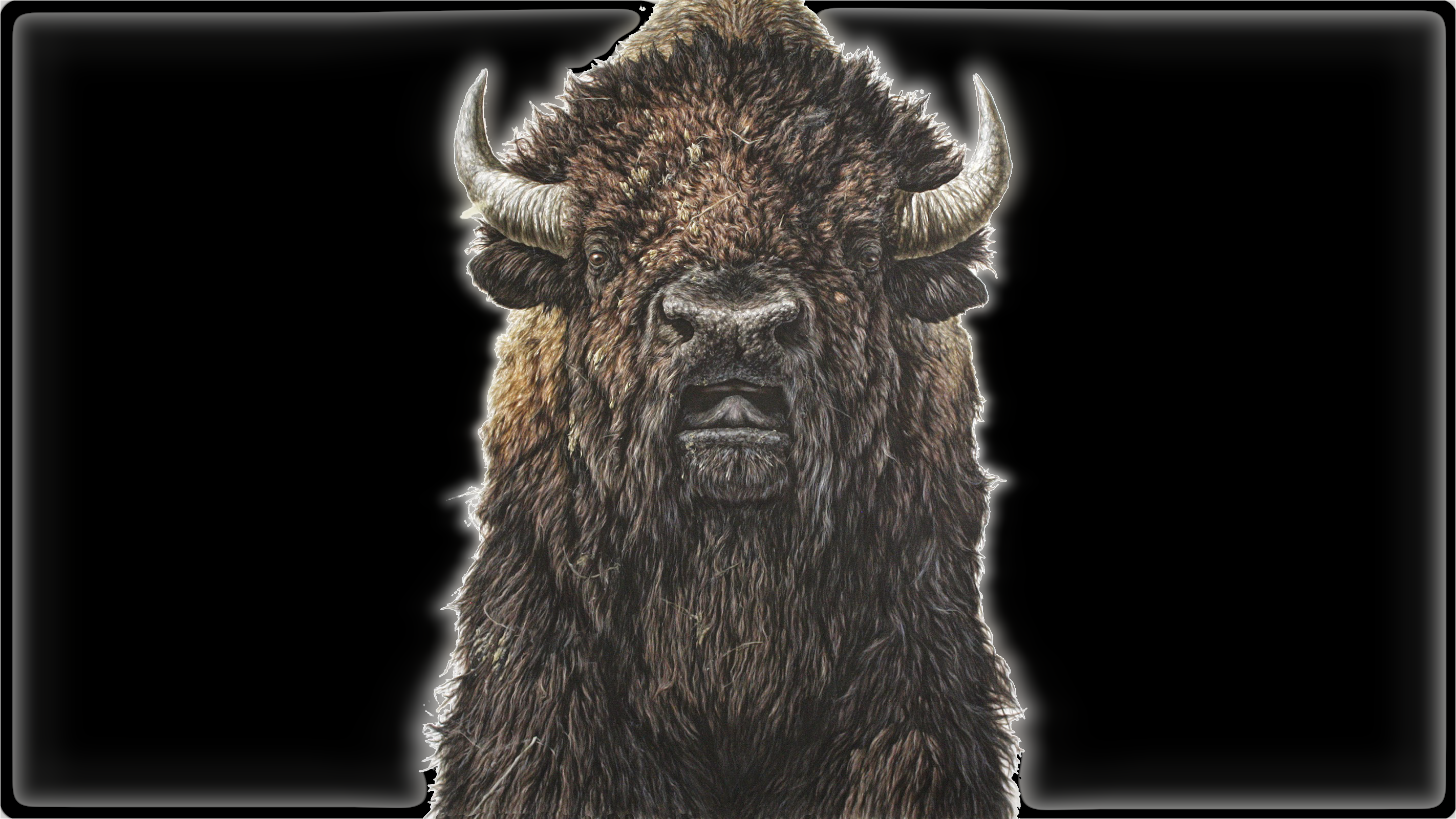 General 2844x1600 bison black background animals mammals artwork horns digital art simple background frame