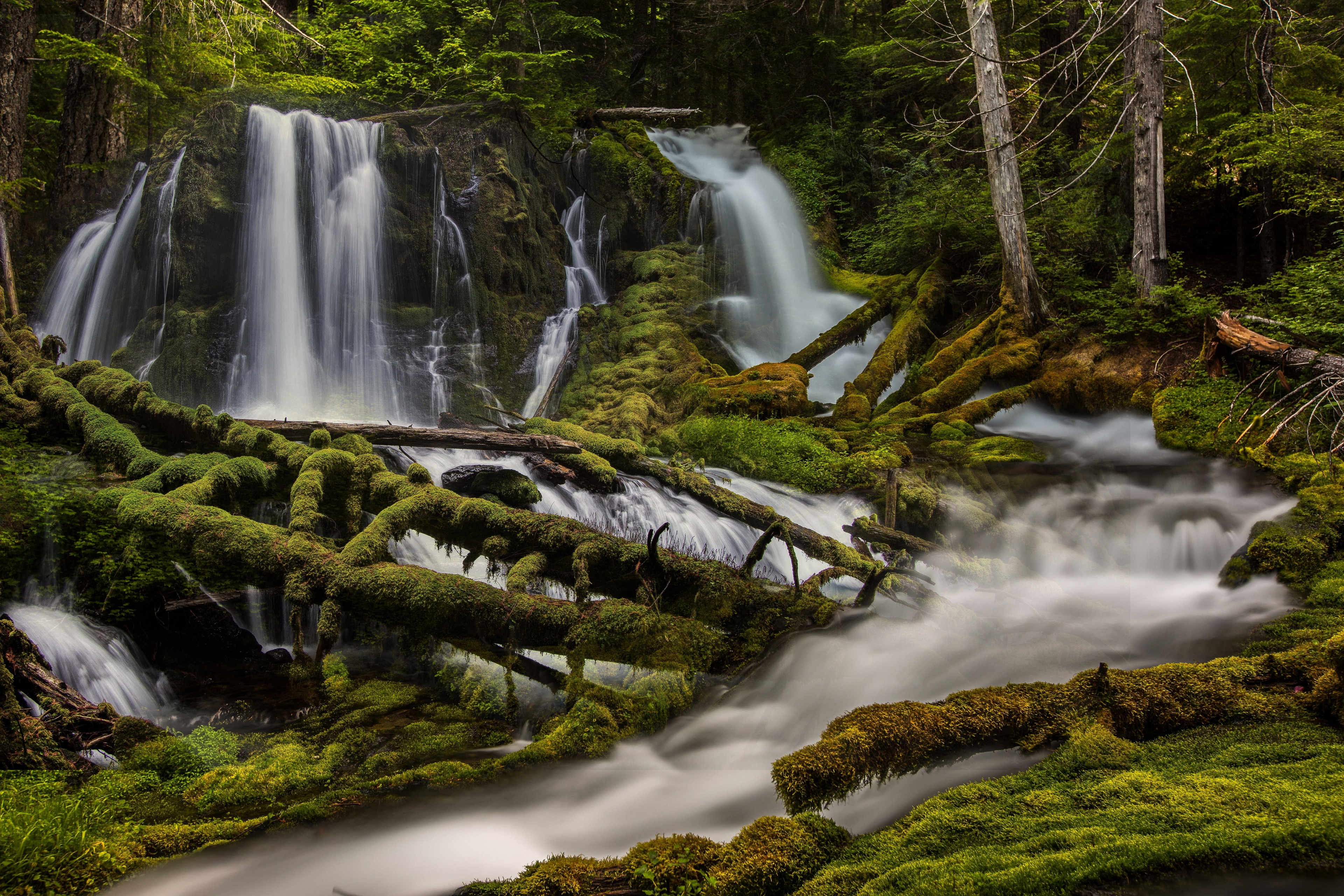 General 3840x2560 nature waterfall USA forest trees moss stream water