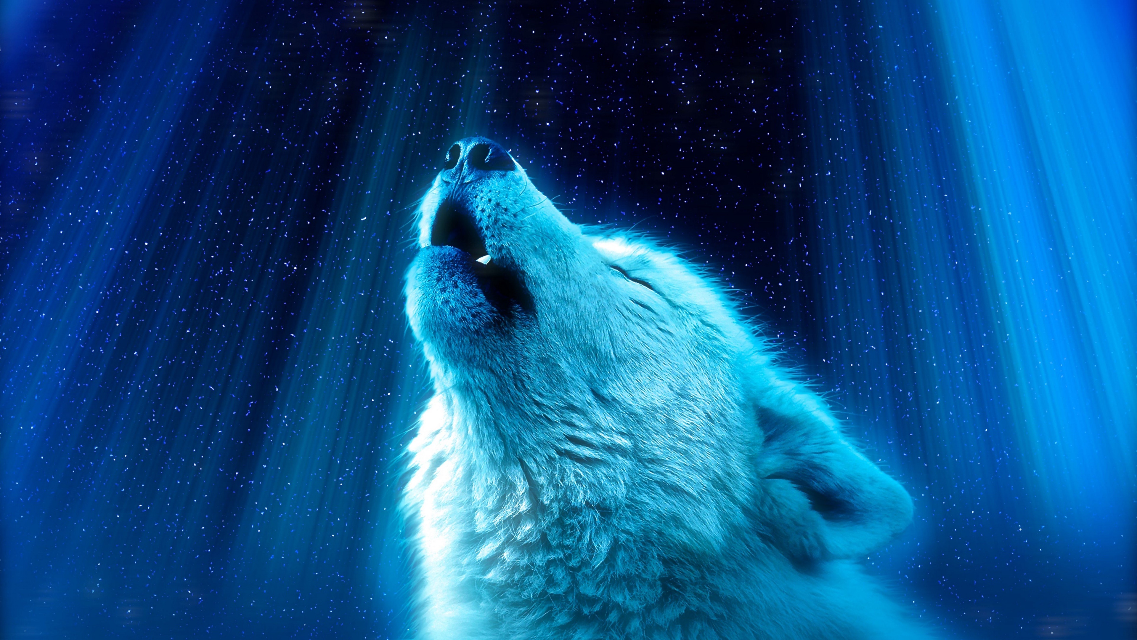 General 3840x2160 wolf animals blue stars sky artwork fur digital art