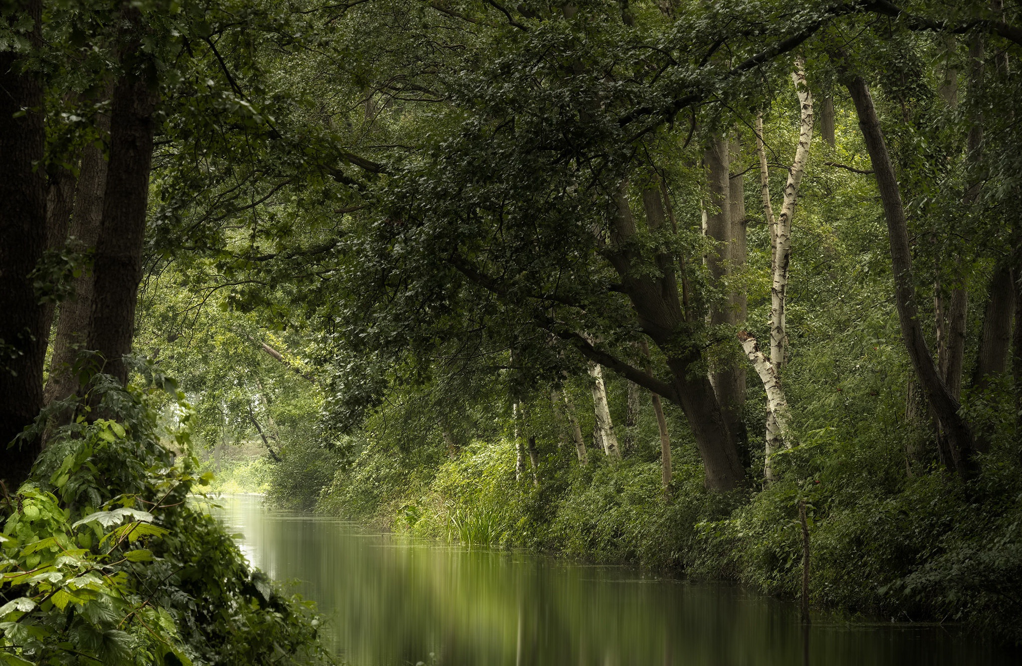 General 2048x1334 nature outdoors water river trees summer