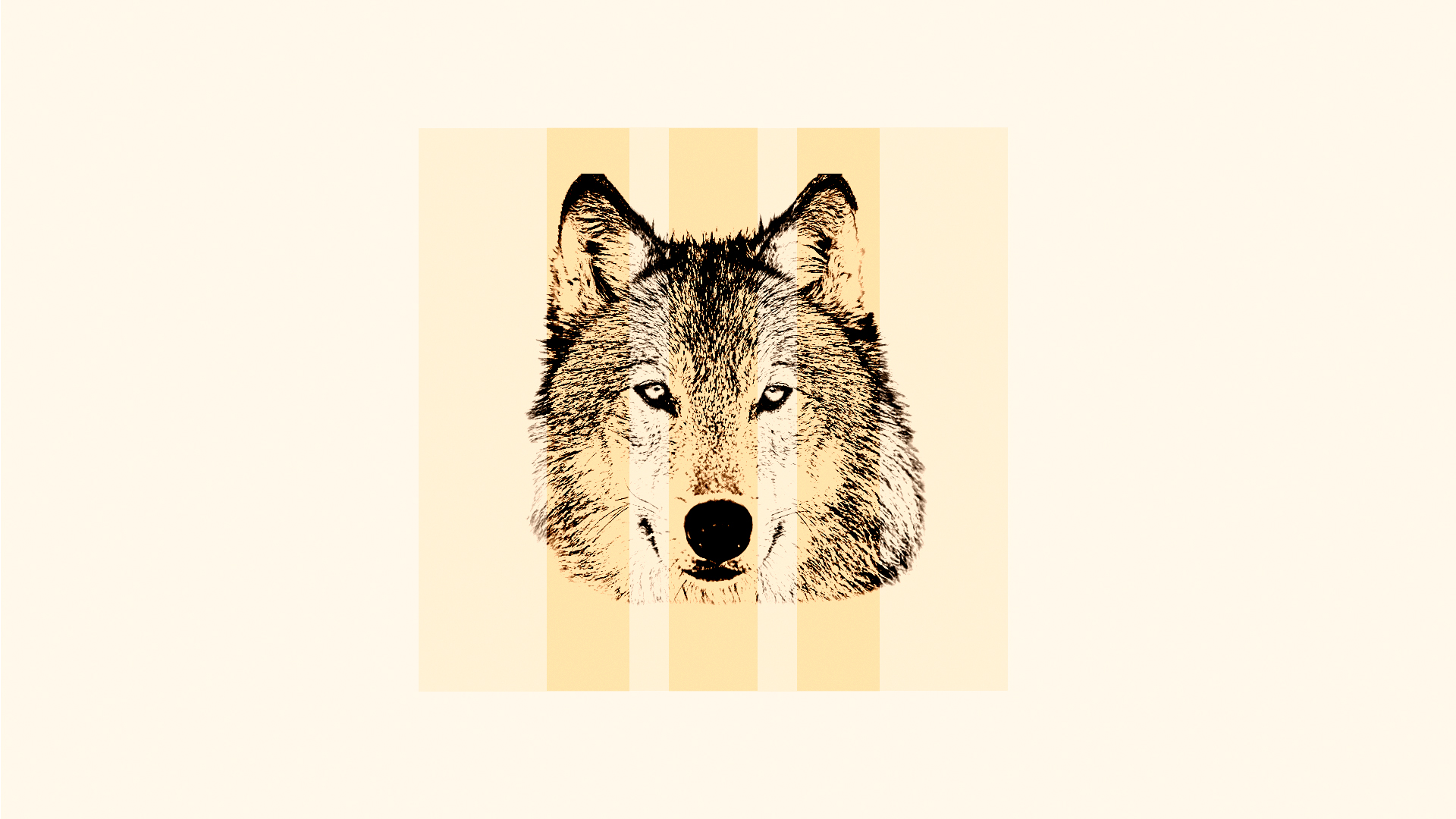 General 1920x1080 wolf minimalism animals simple background beige