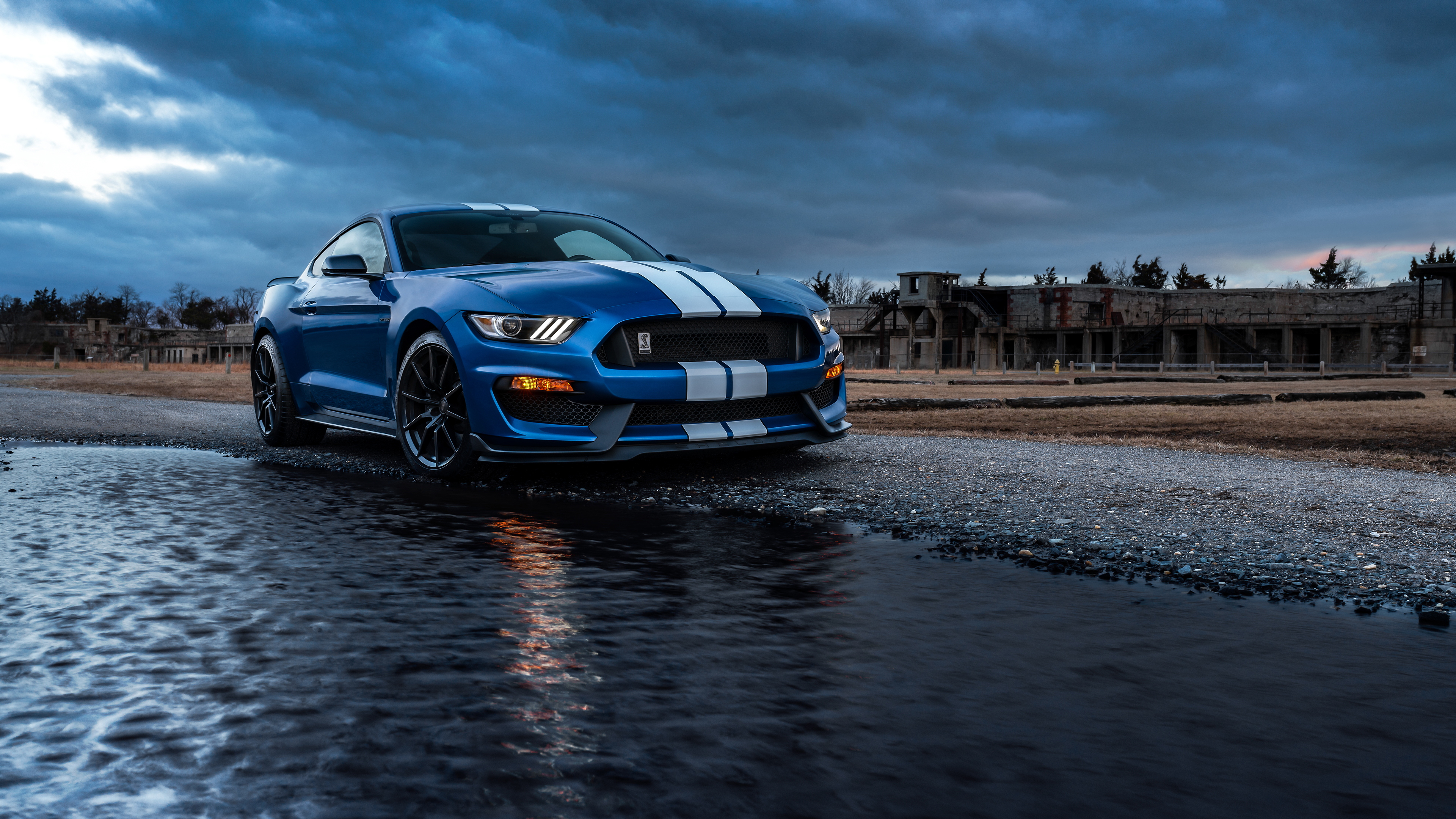 General 3840x2160 Ford Shelby car vehicle muscle cars blue cars Ford Mustang Shelby Ford Mustang Ford Mustang S550 American cars racing stripes