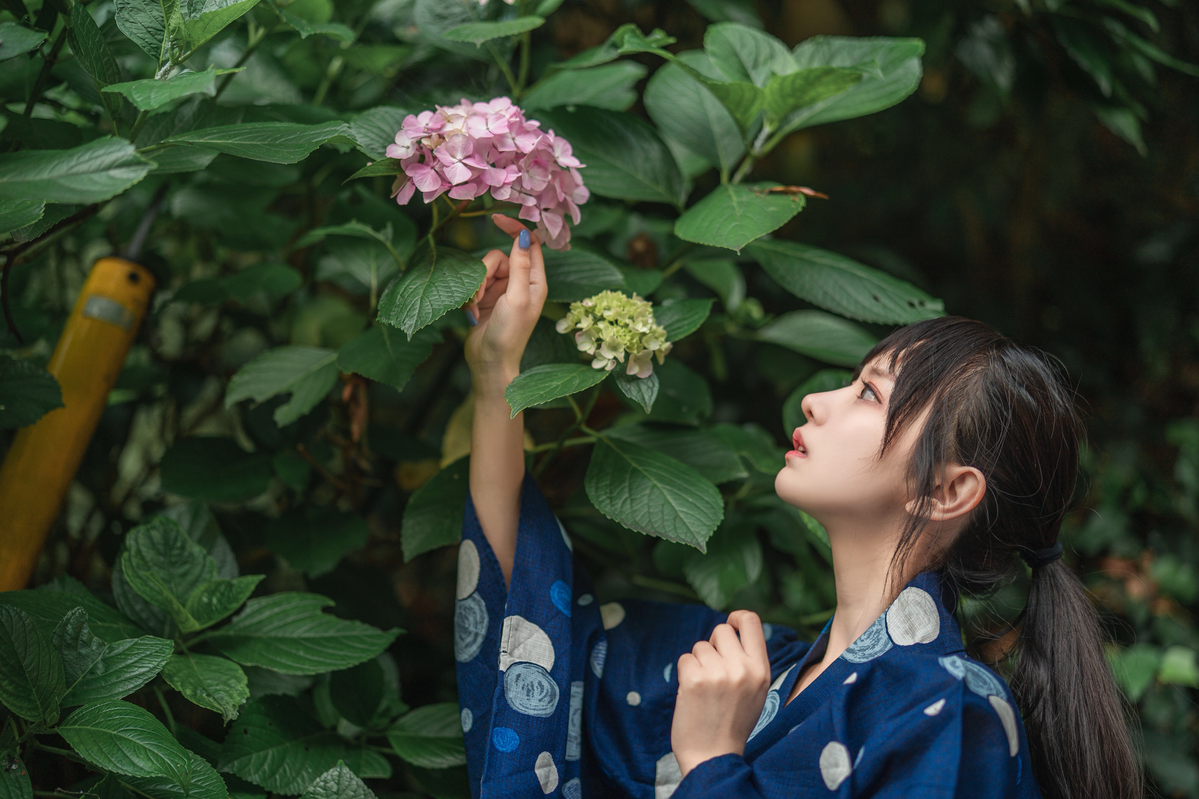 People 4032x2688 long hair women Asian plants flowers kimono ponytail
