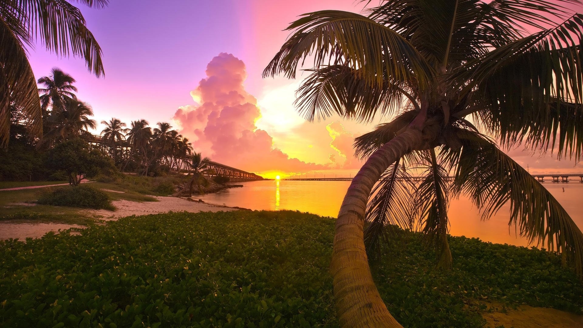 General 1920x1080 nature sunset beach palm trees