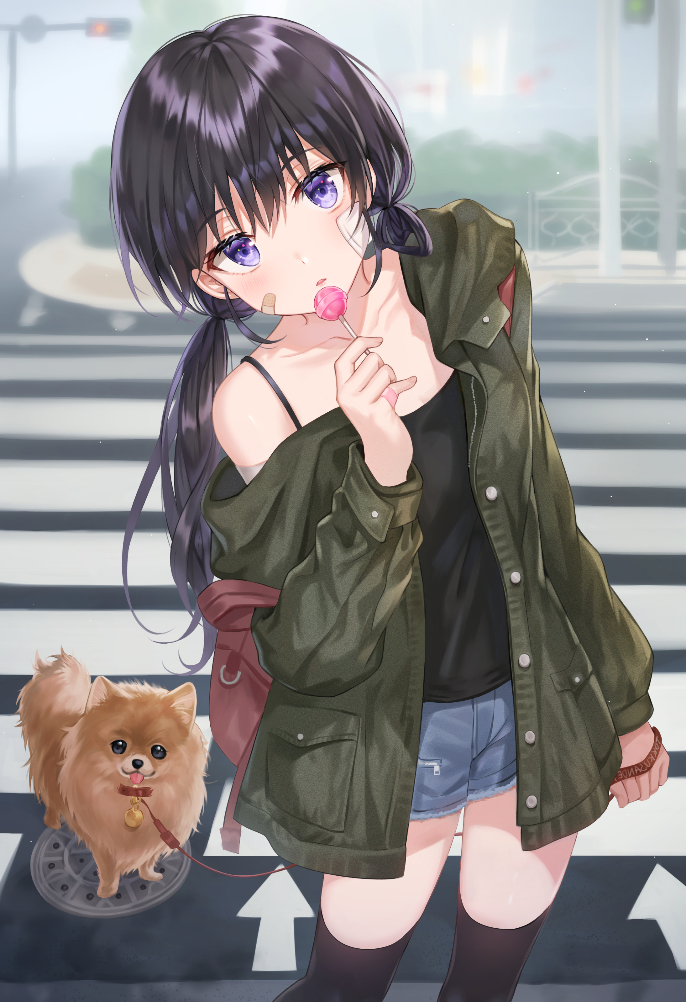 Anime 2189x3196 anime anime girls digital art artwork portrait display 2D lollipop dog Tokkyu (artista) purple eyes dark hair twintails thigh-highs open jacket short shorts