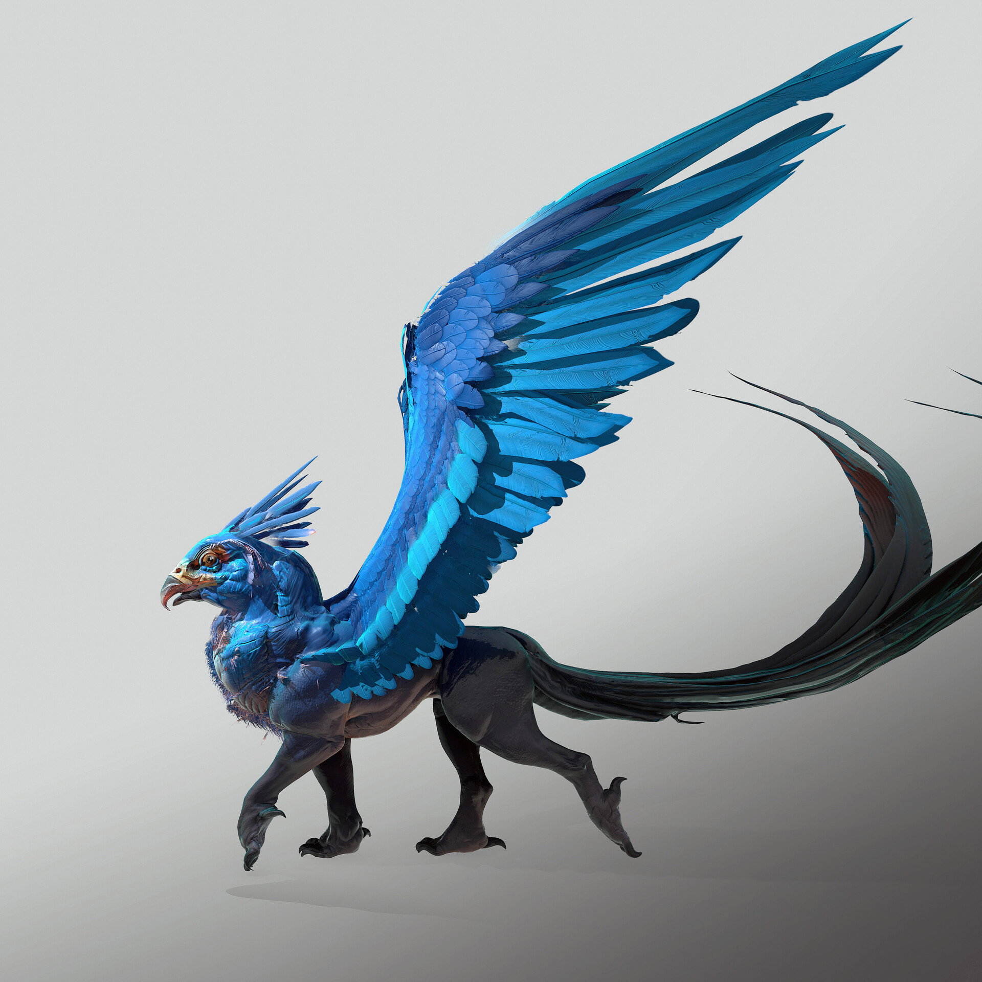 General 1920x1920 digital art hippogriff wings blue fantasy art artwork CGI