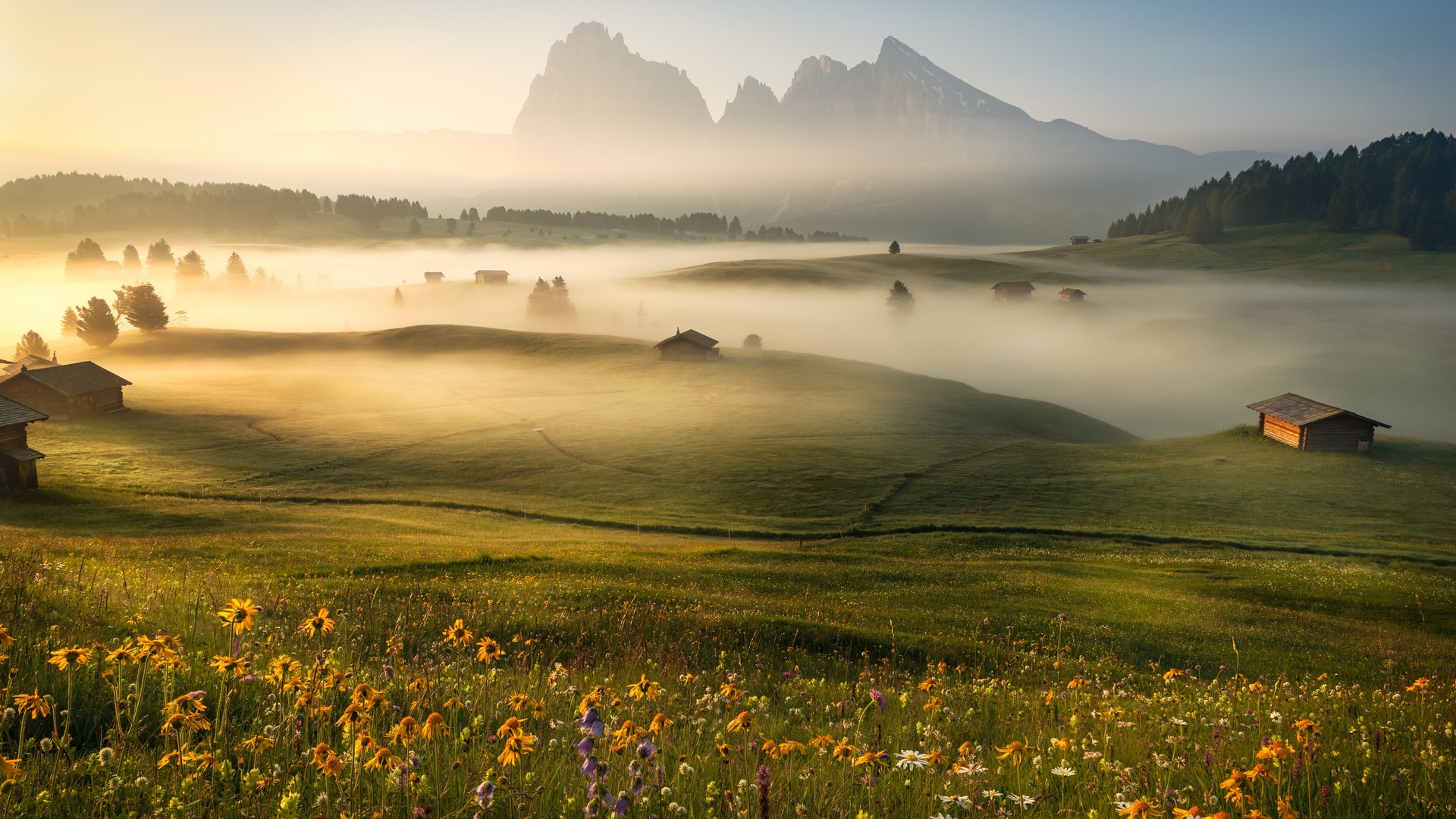 General 1920x1080 nature landscape trees mountains hills flowers field mist cabin forest Dolomites Alps