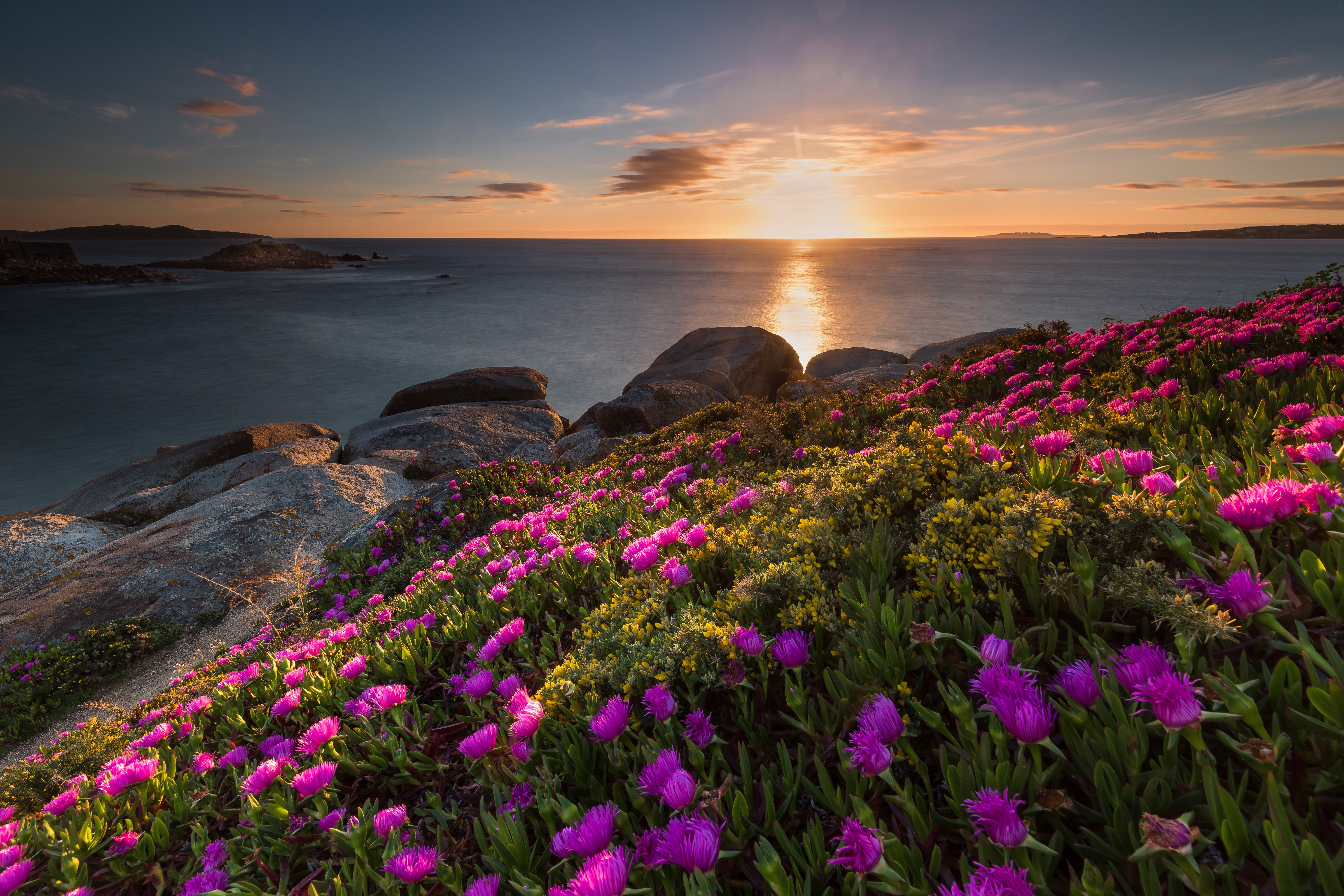 General 6144x4096 flowers grass colorful landscape nature sky sunlight coast plants
