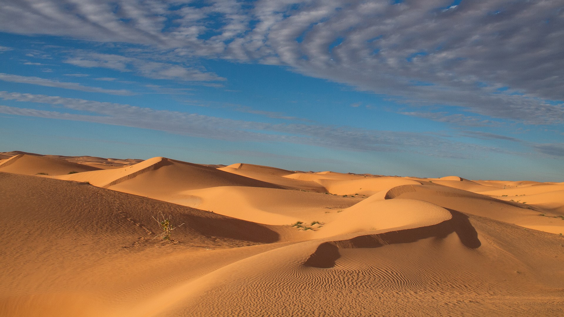 General 1920x1080 nature landscape desert plants sand clouds sky sand ripples dunes Sahara Egypt