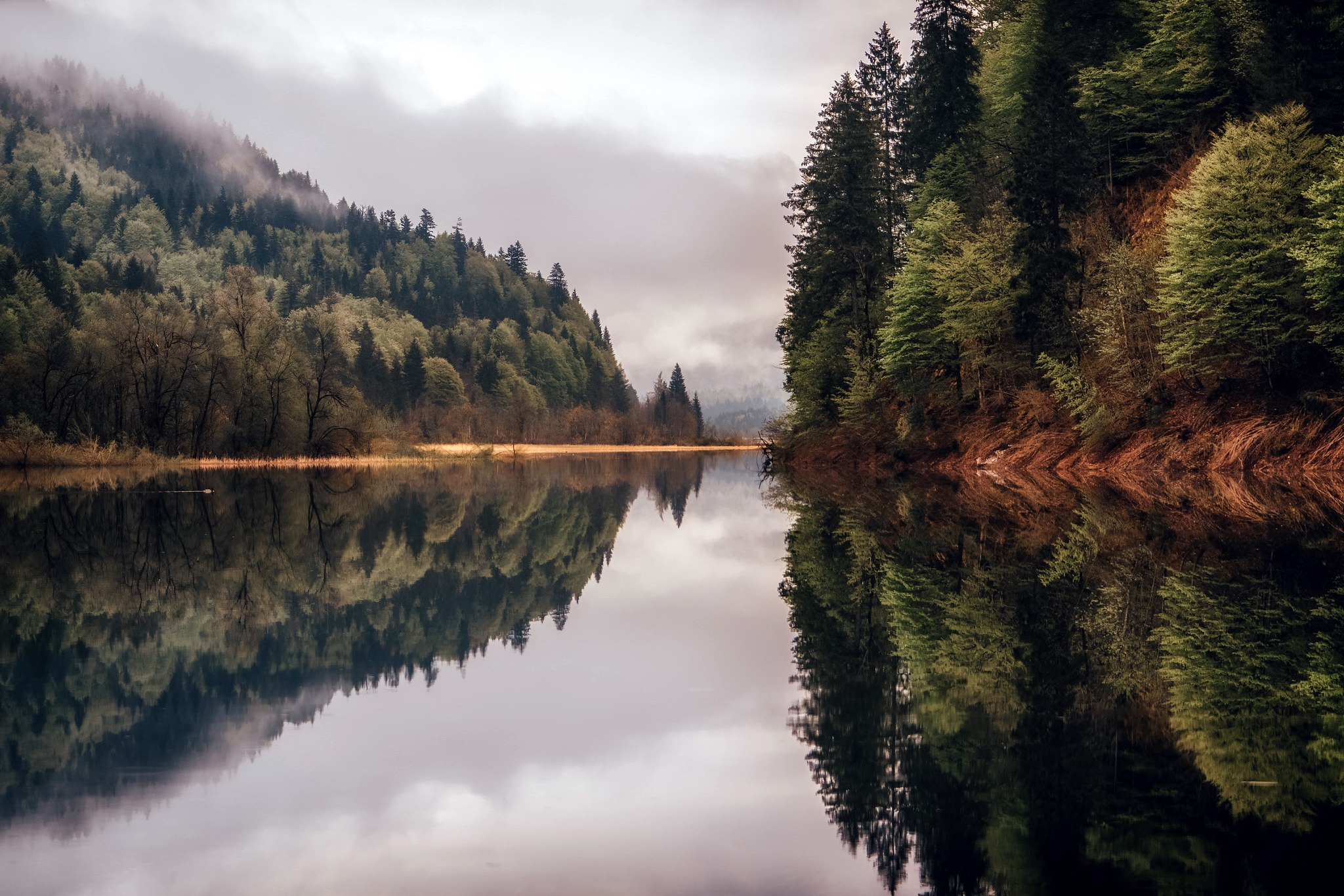 General 2048x1366 water trees nature reflection symmetry calm waters mist lake
