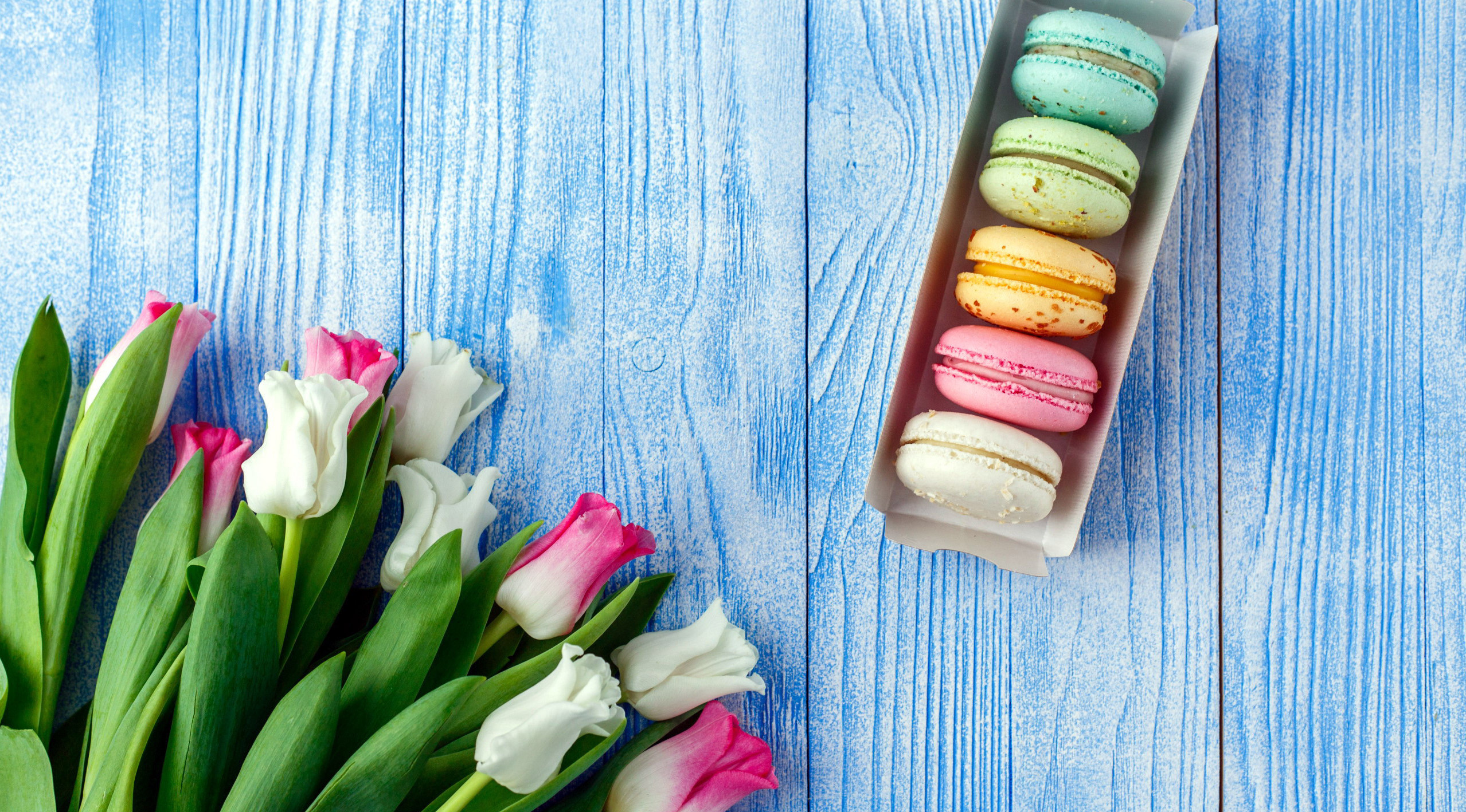 General 2557x1418 colorful flowers sweets food tulips cookies macarons wooden surface cyan