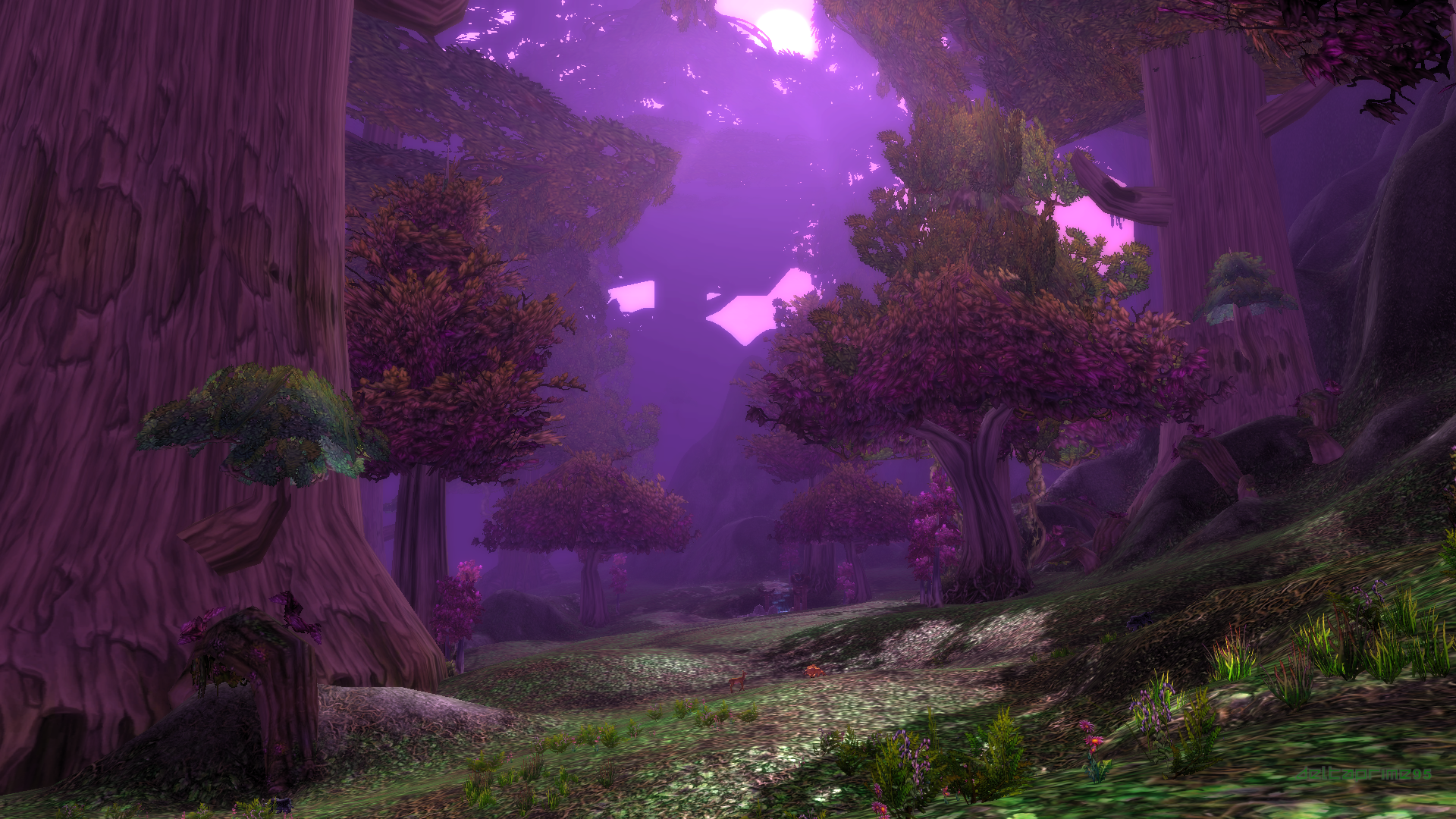 General 1920x1080 World of Warcraft Teldrassil Shadowglen night elves forest PC gaming screen shot