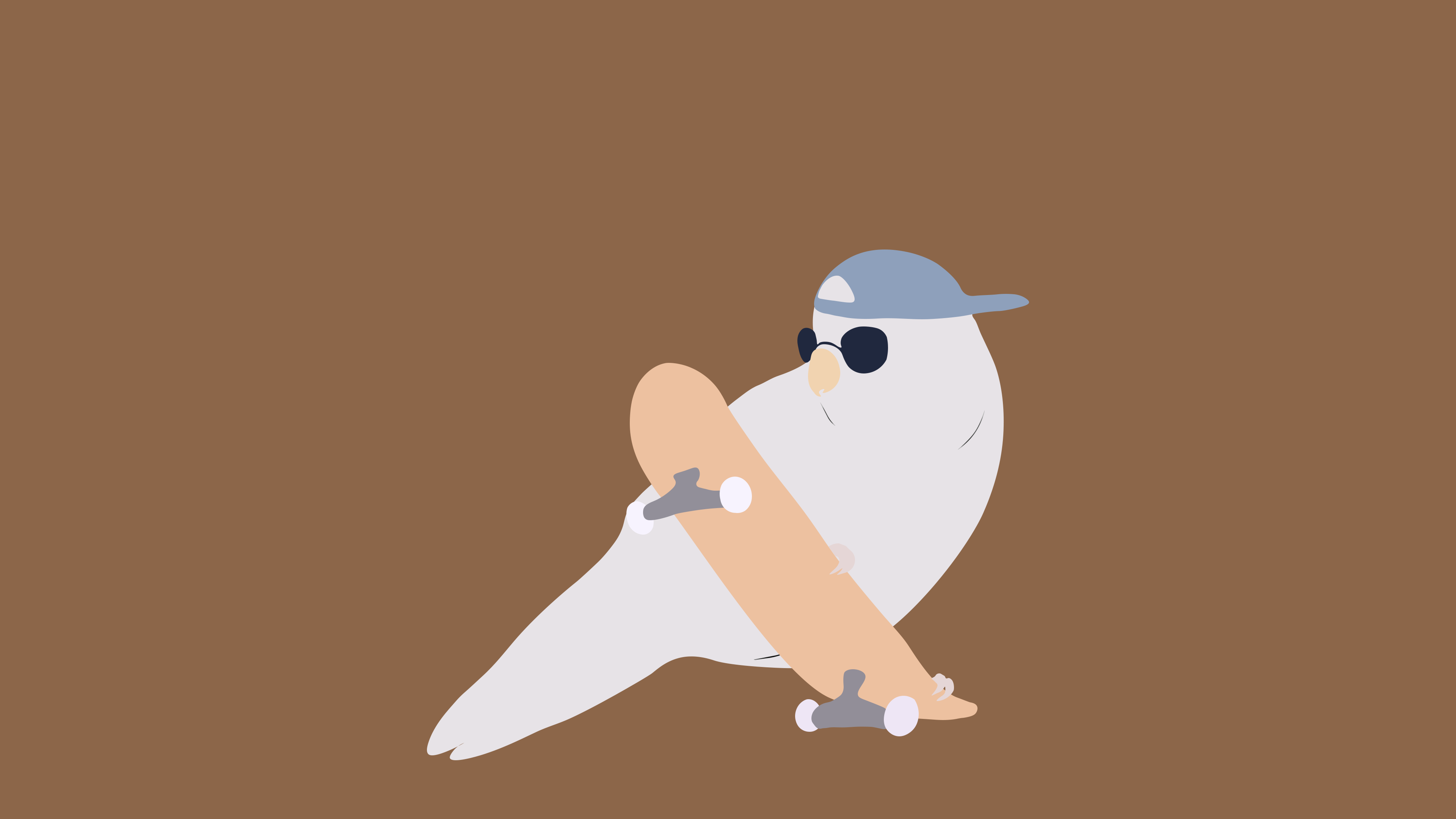 General 3840x2160 minimalism skateboard simple background pidgeons birds