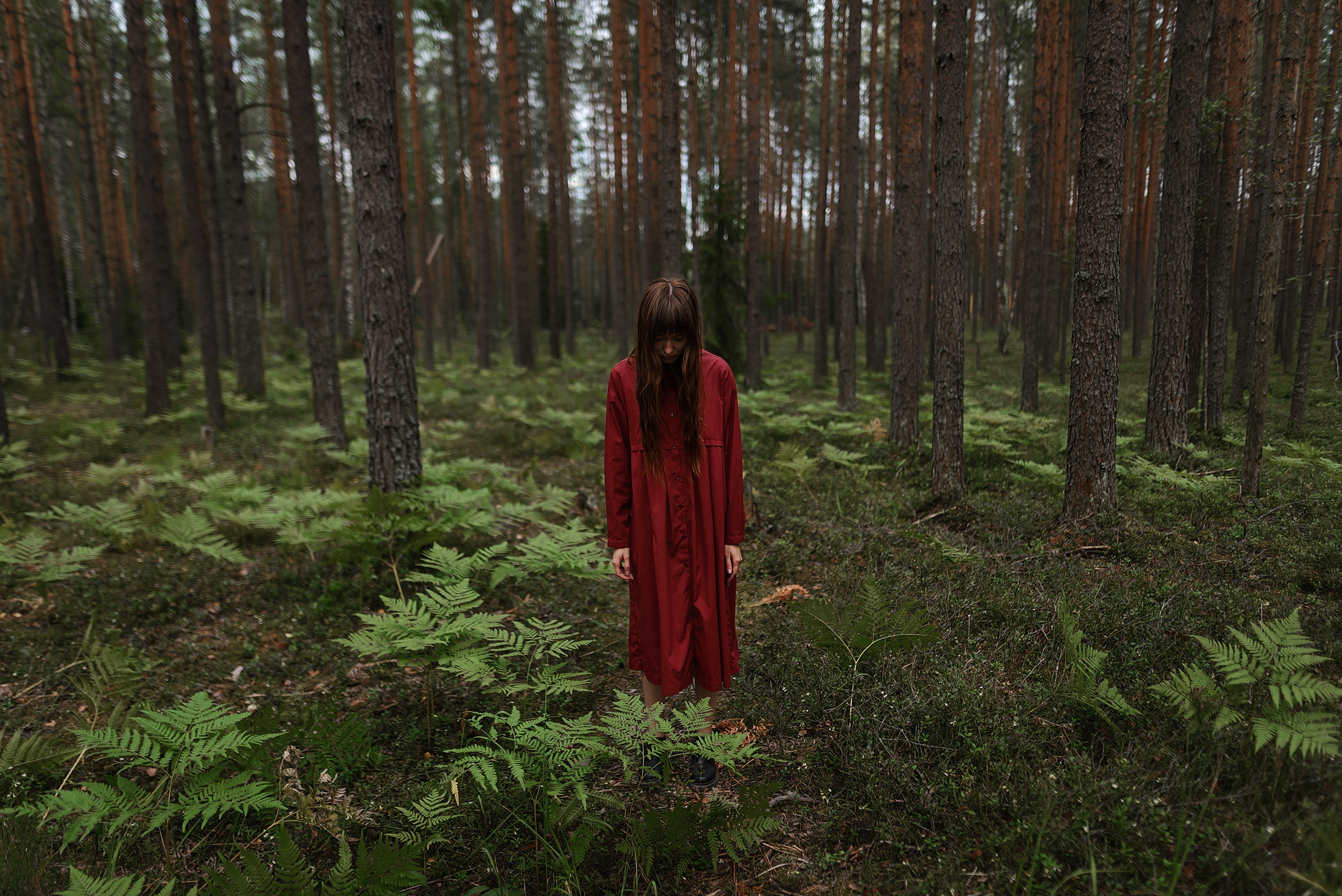 People 2560x1709 forest women standing trees women outdoors sad