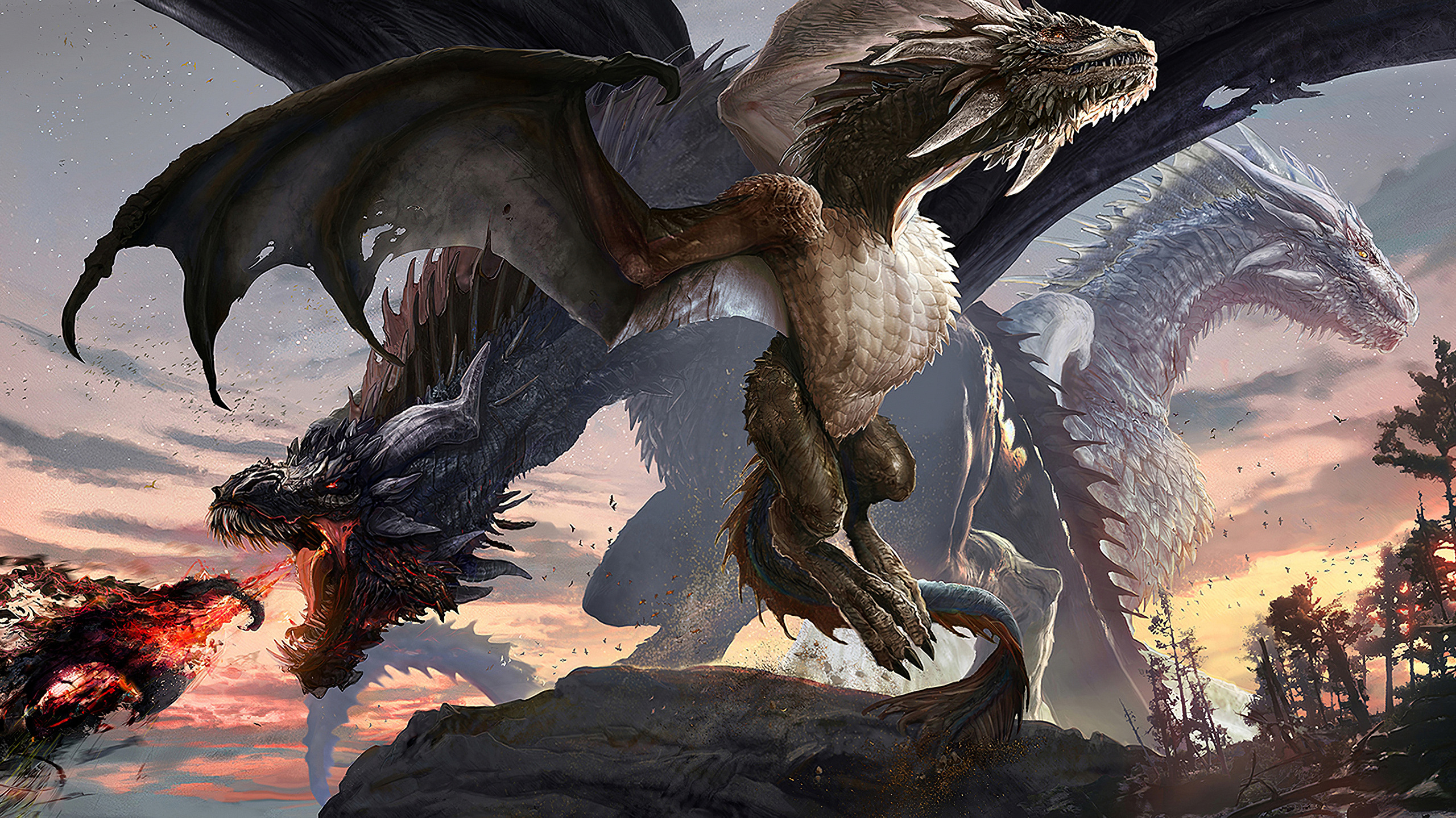 General 2560x1440 digital art fantasy art creature dragon artwork