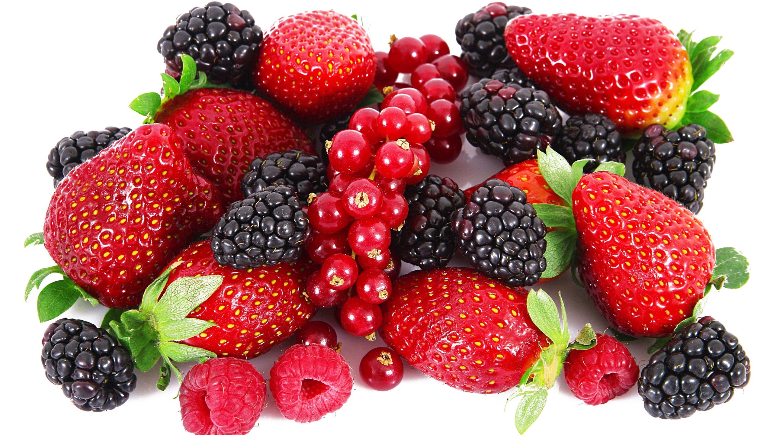 General 2560x1440 cranberries raspberries strawberries blackberries fruit simple background closeup