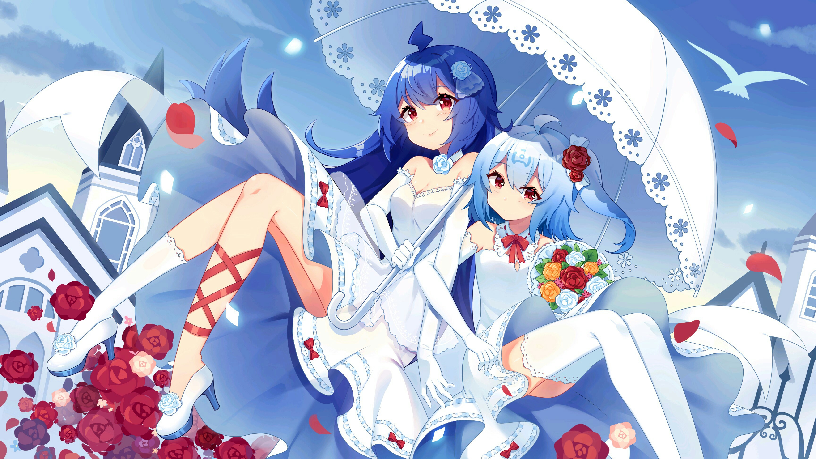 Downloader for Bilibili Anime APK for Android Download