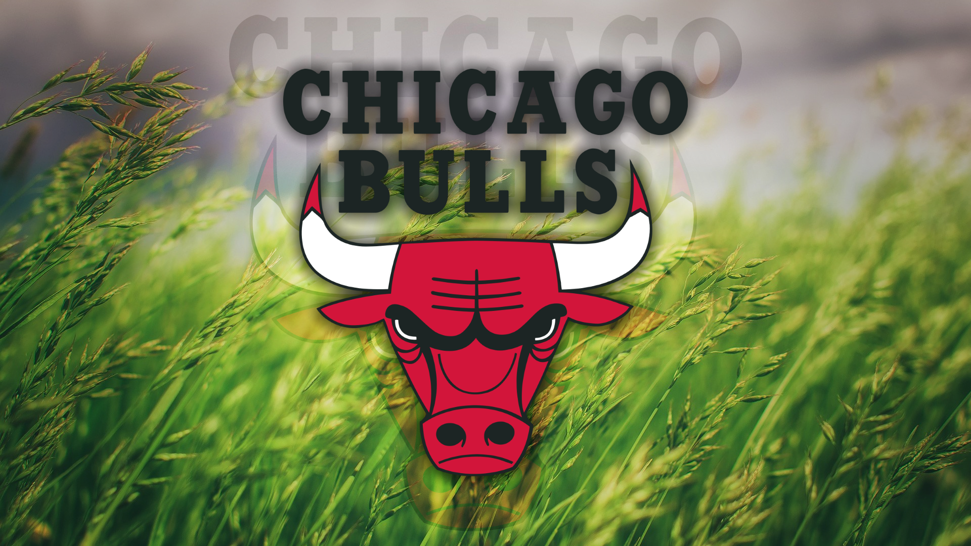 General 1920x1080 Chicago Bulls grass logo basketball NBA