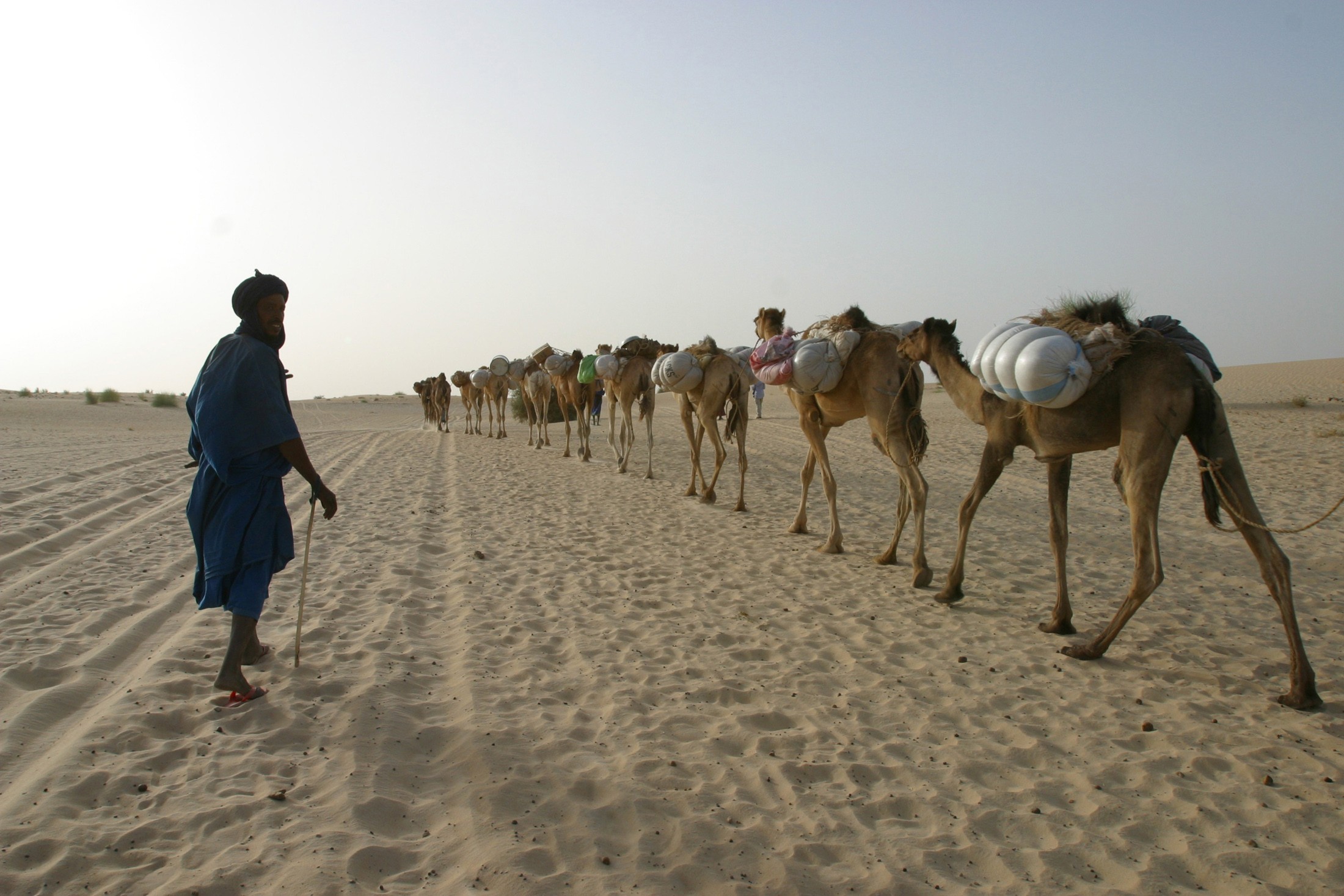 General 2200x1467 Africa camels desert animals mammals sand men