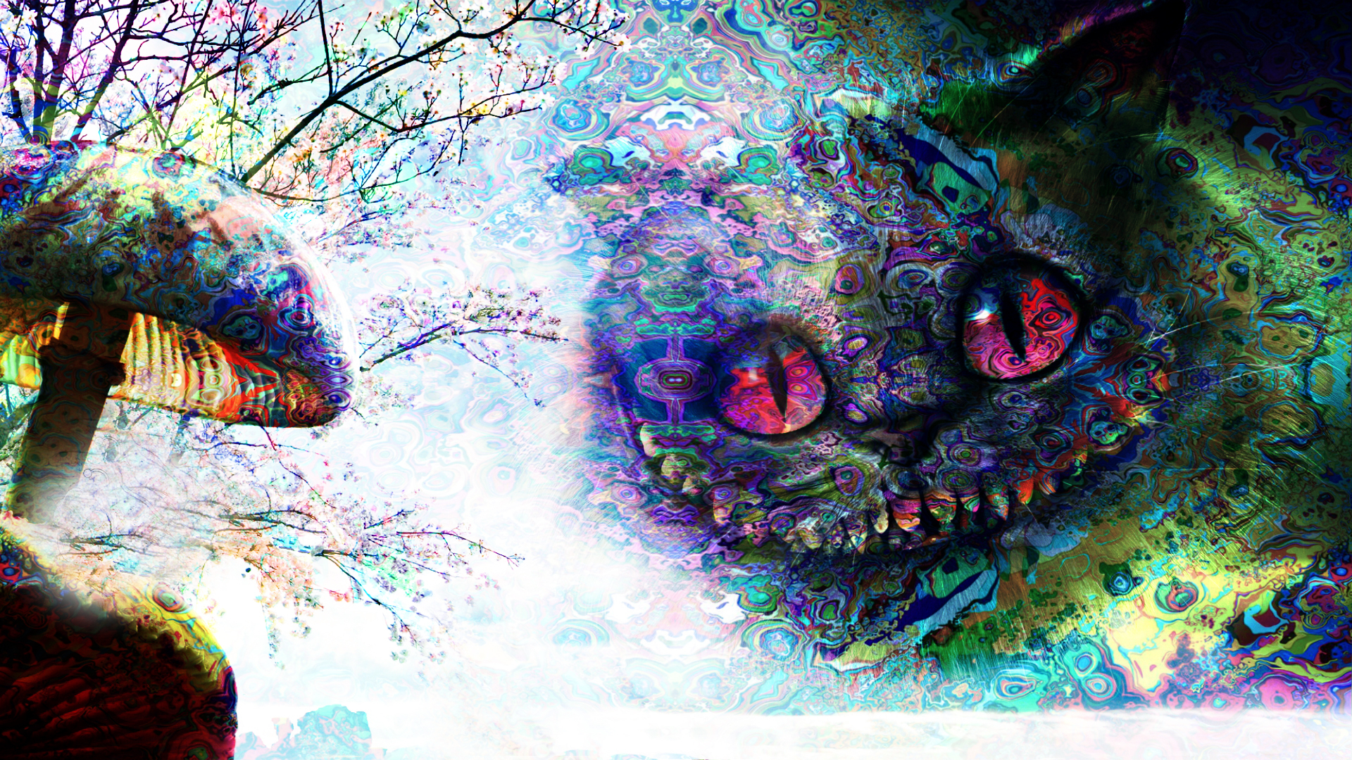 General 1920x1080 psychedelic trippy Alice in Wonderland Cheshire Cat mushroom Alice: Madness Returns digital art