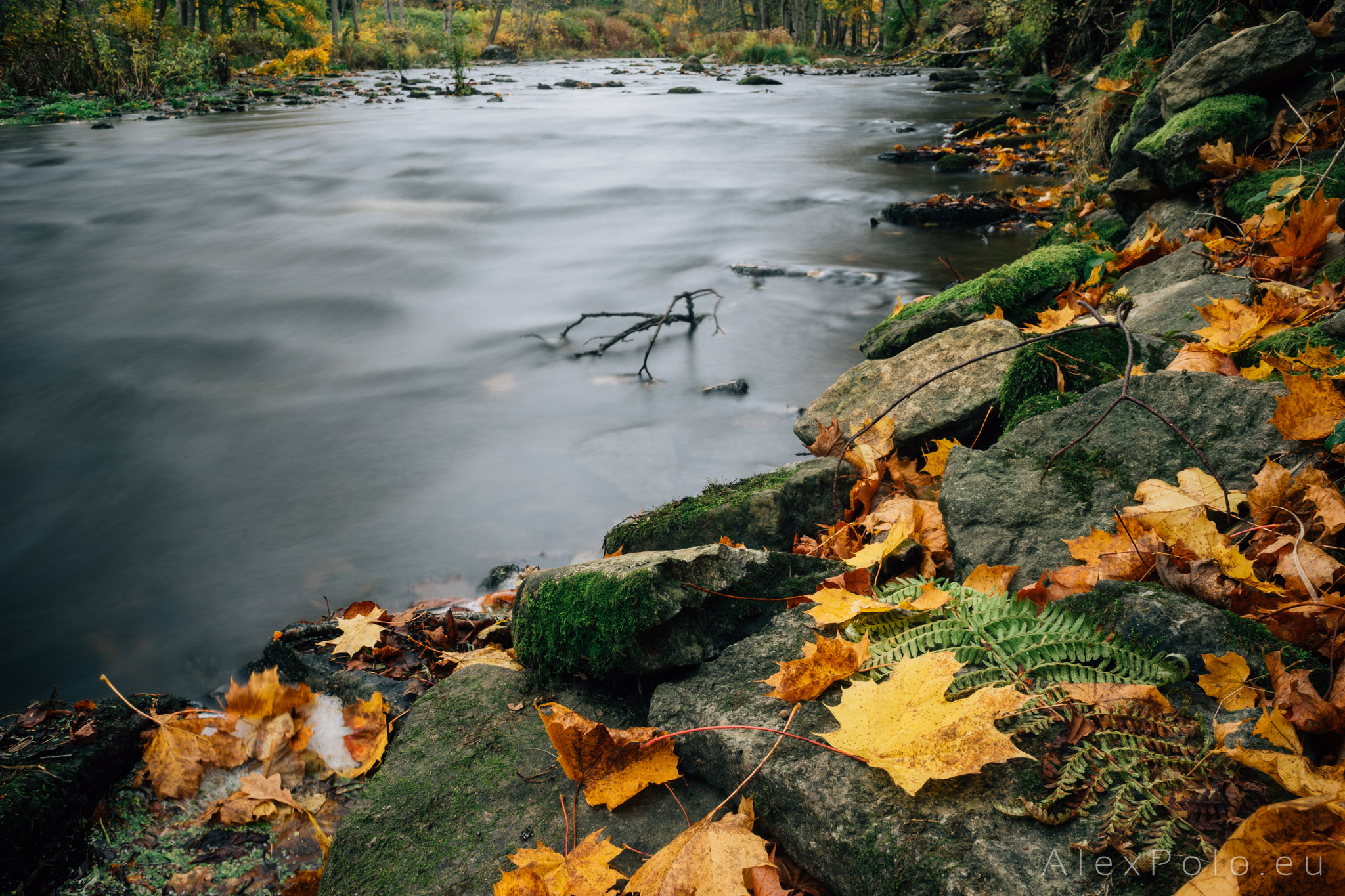 General 2048x1365 500px Alex Polo fall stones river colorful leaves nature moss landscape
