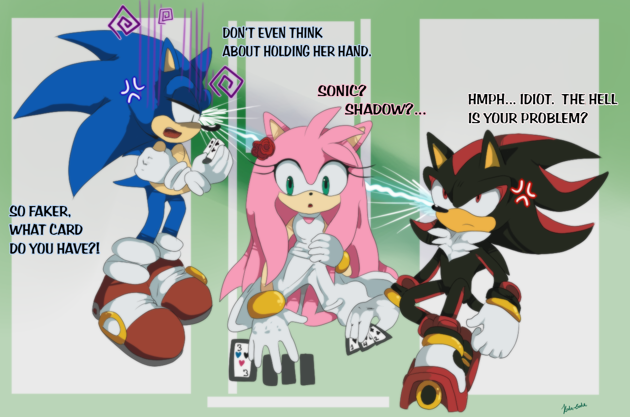 General 1300x860 Sonic the Hedgehog Shadow the Hedgehog video game characters Sega video games Amy Rose angry question mark text exclamation mark cards signature