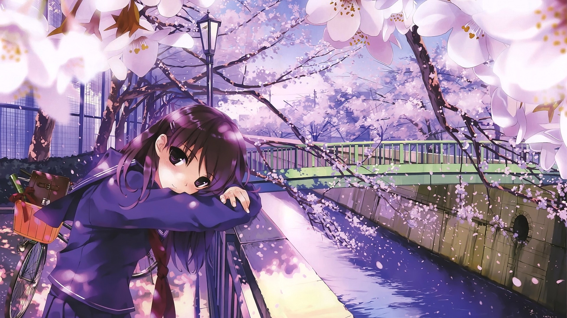 Anime 1920x1080 anime anime girls bicycle cherry blossom school uniform river bridge women with bicycles vehicle trees flowers plants looking at viewer