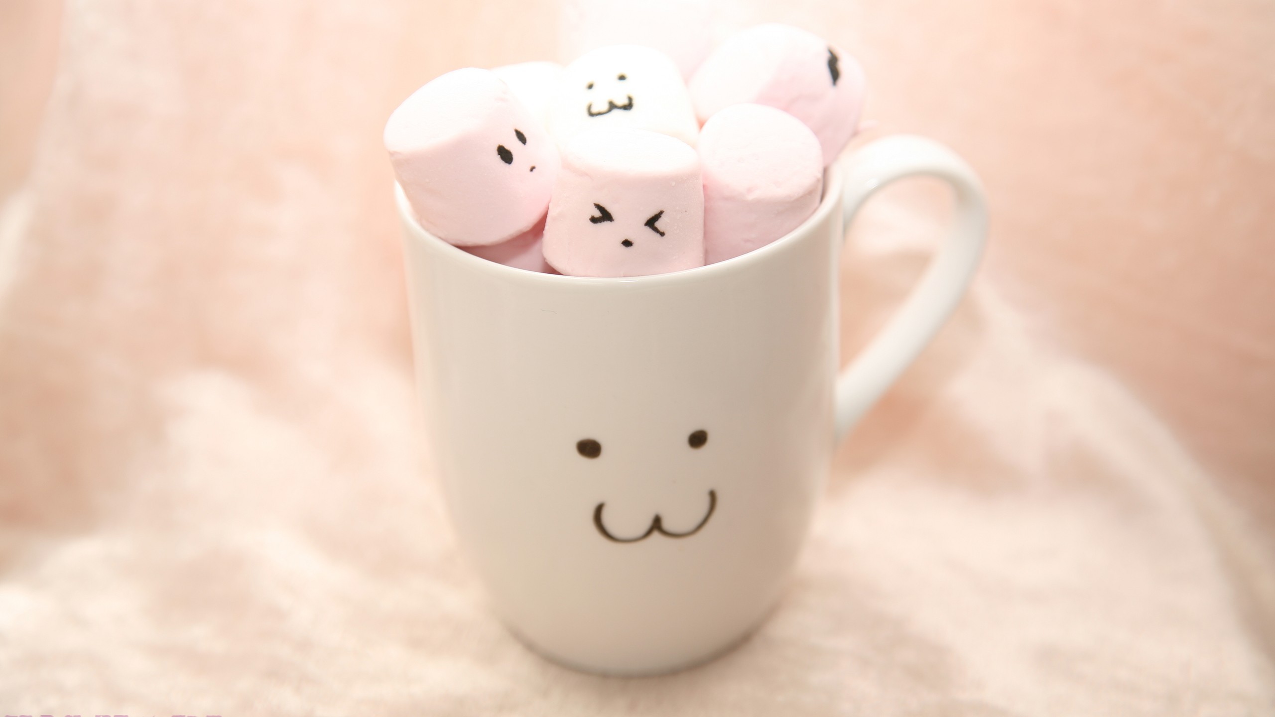 General 2560x1440 macro marshmallows cup food sweets