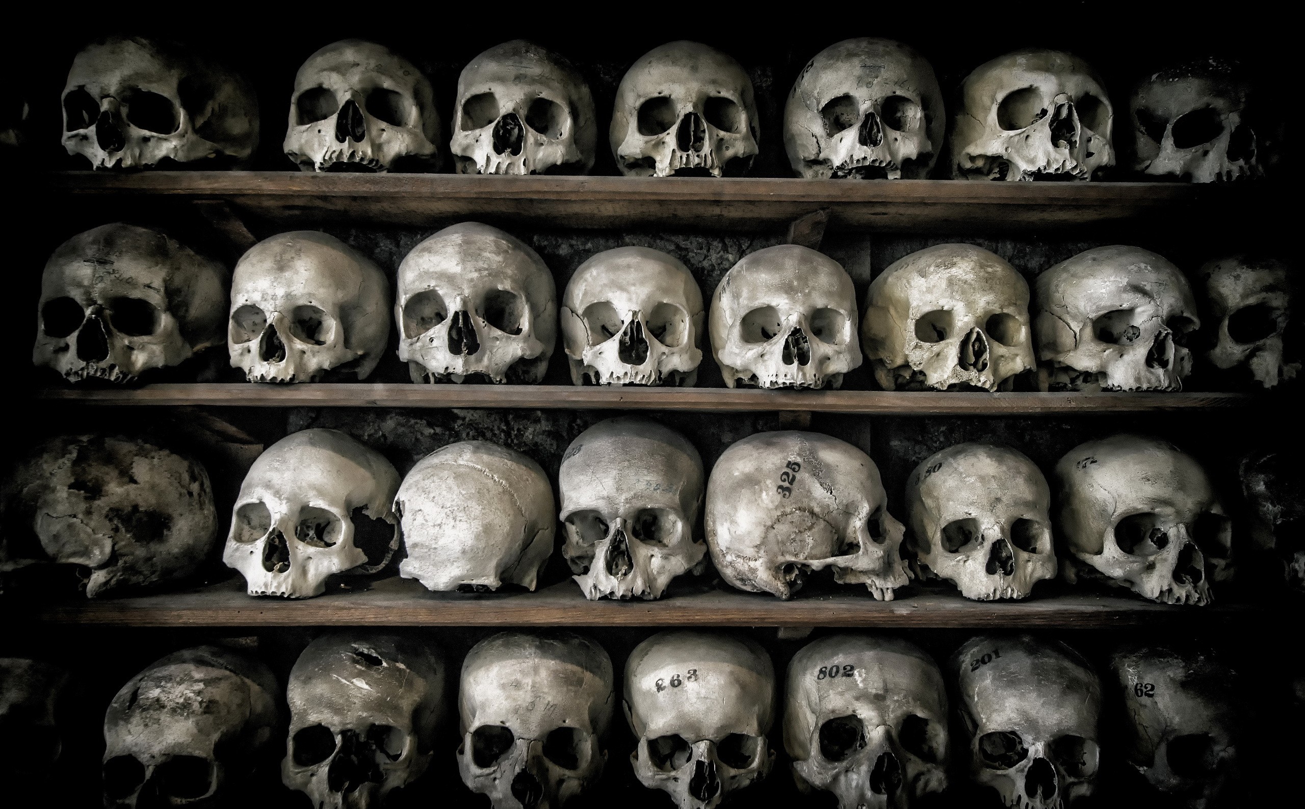 General 2560x1587 death skull bones