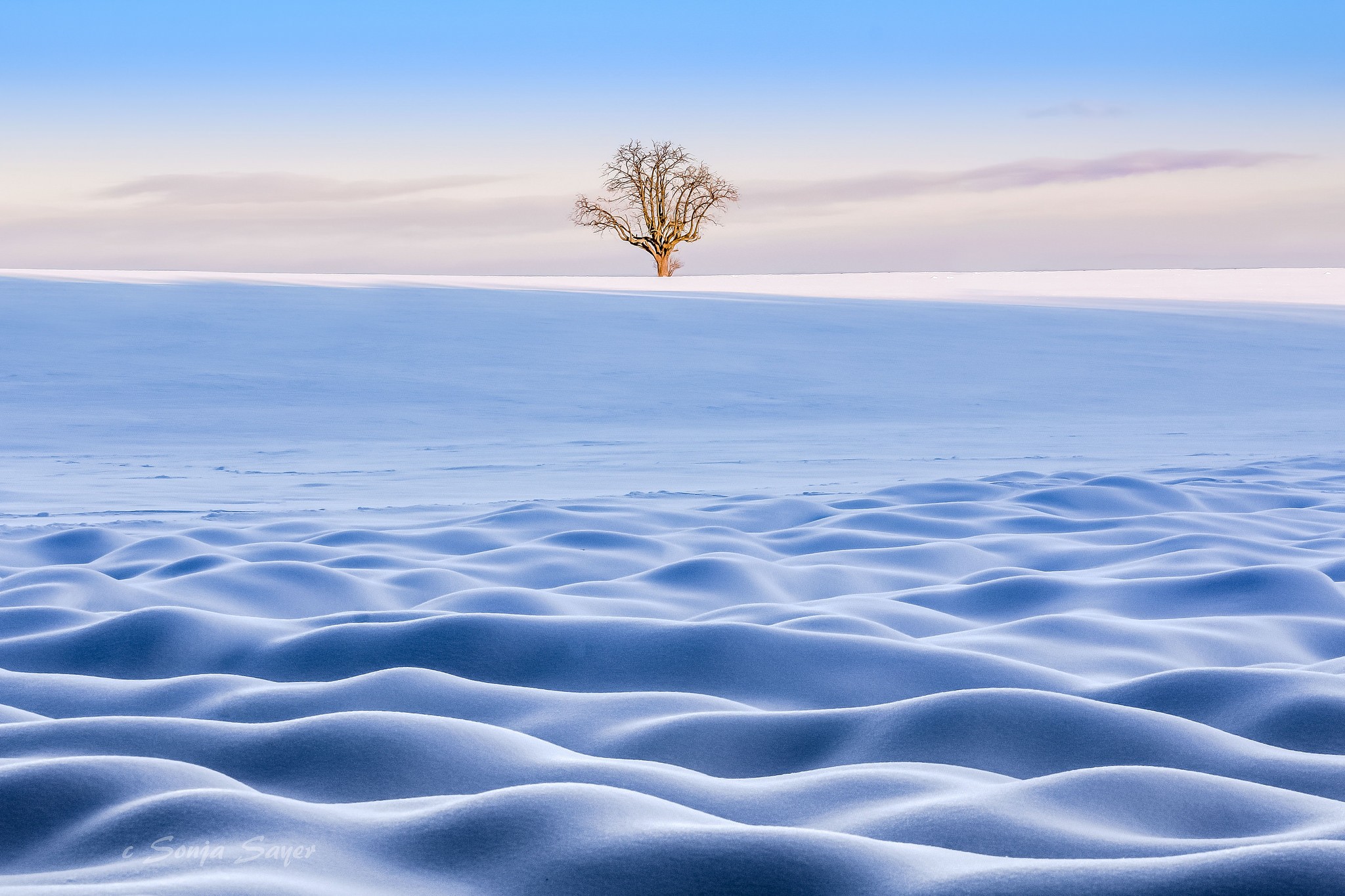 General 2048x1365 winter snow landscape trees cold ice frost outdoors nature