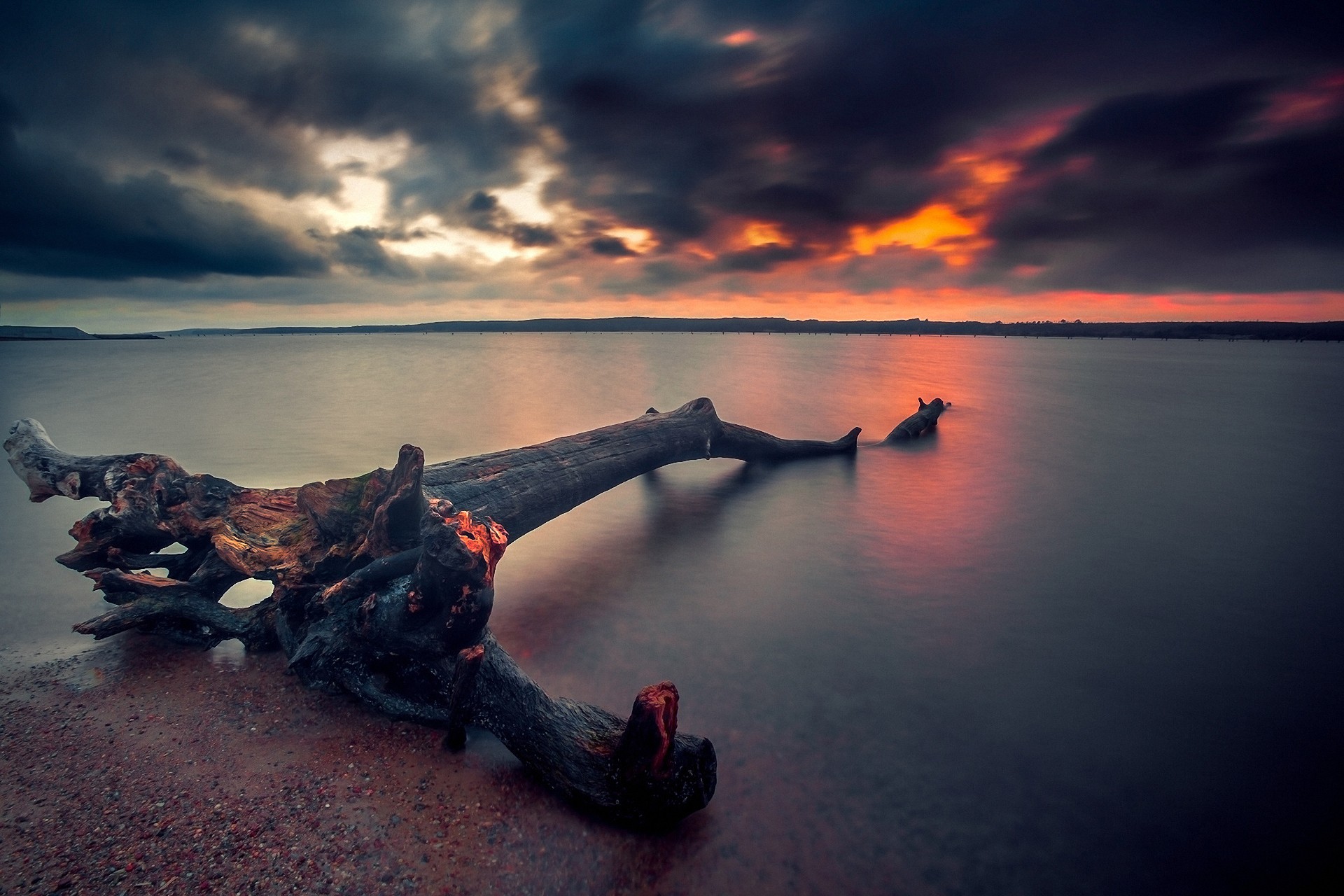 General 1920x1280 landscape beach sunset dead trees skyscape nature sky wood water