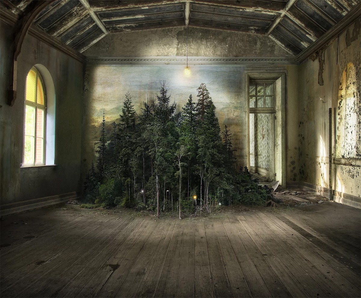 General 1200x992 nature trees forest branch photo manipulation artwork pine trees interior abandoned wooden surface planks window lights