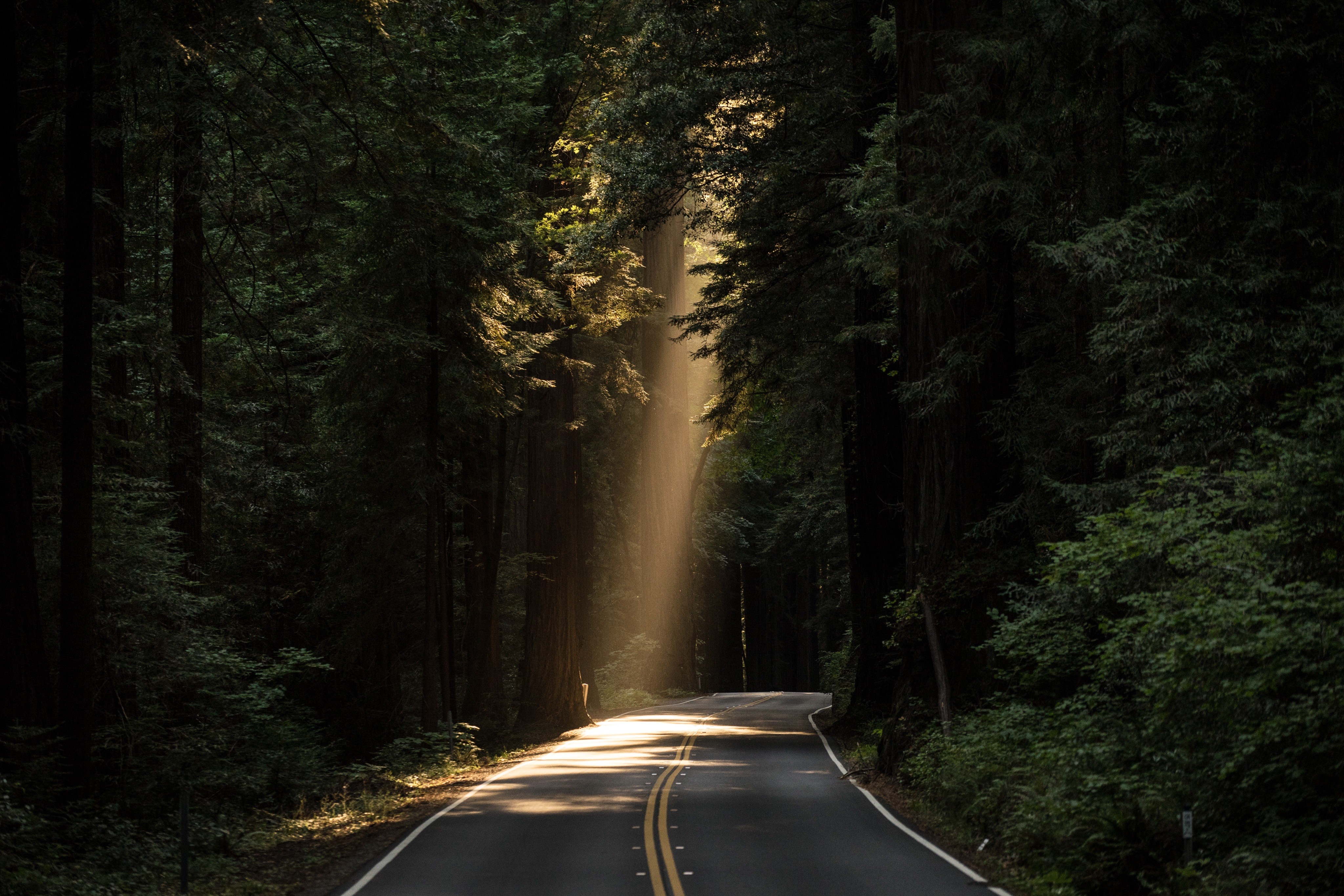 General 4096x2731 nature road trees sun rays shadow