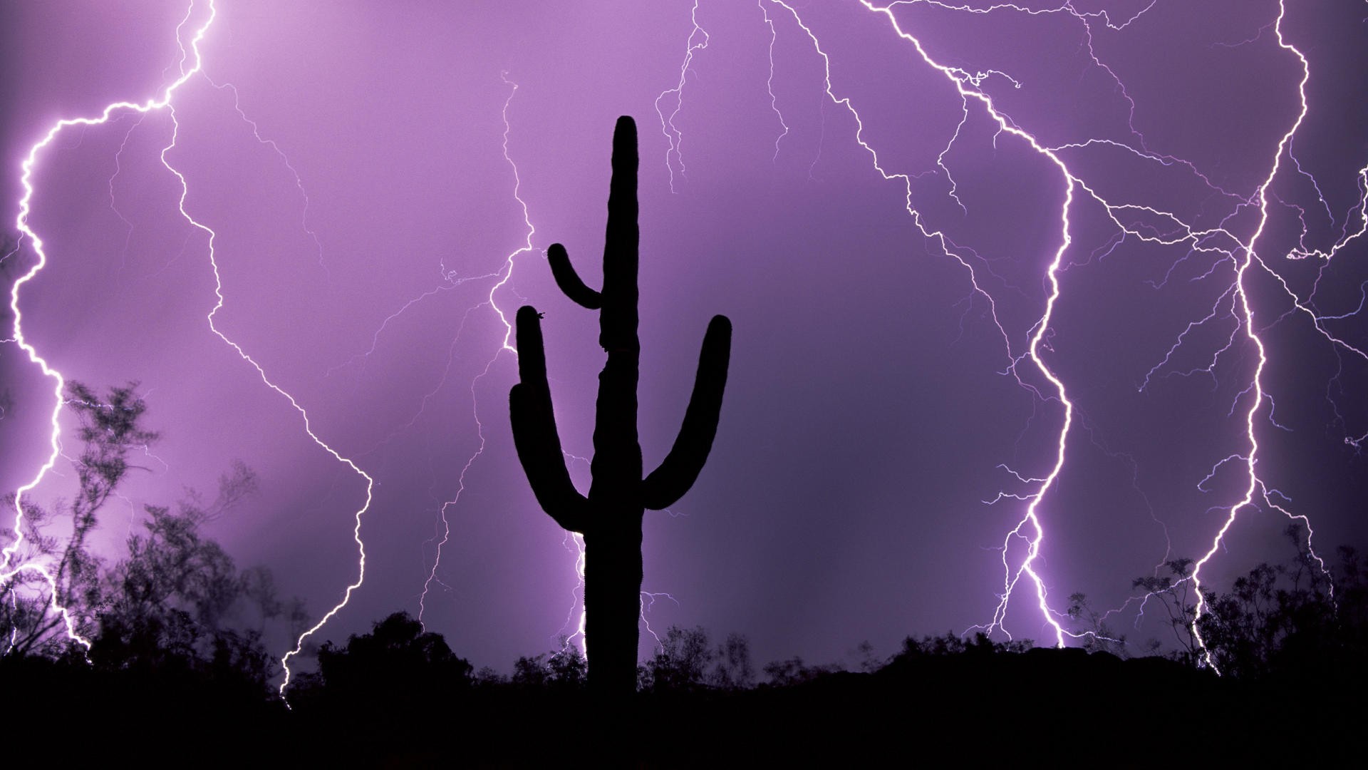 General 1920x1080 lightning silhouette night nature cactus purple sky storm