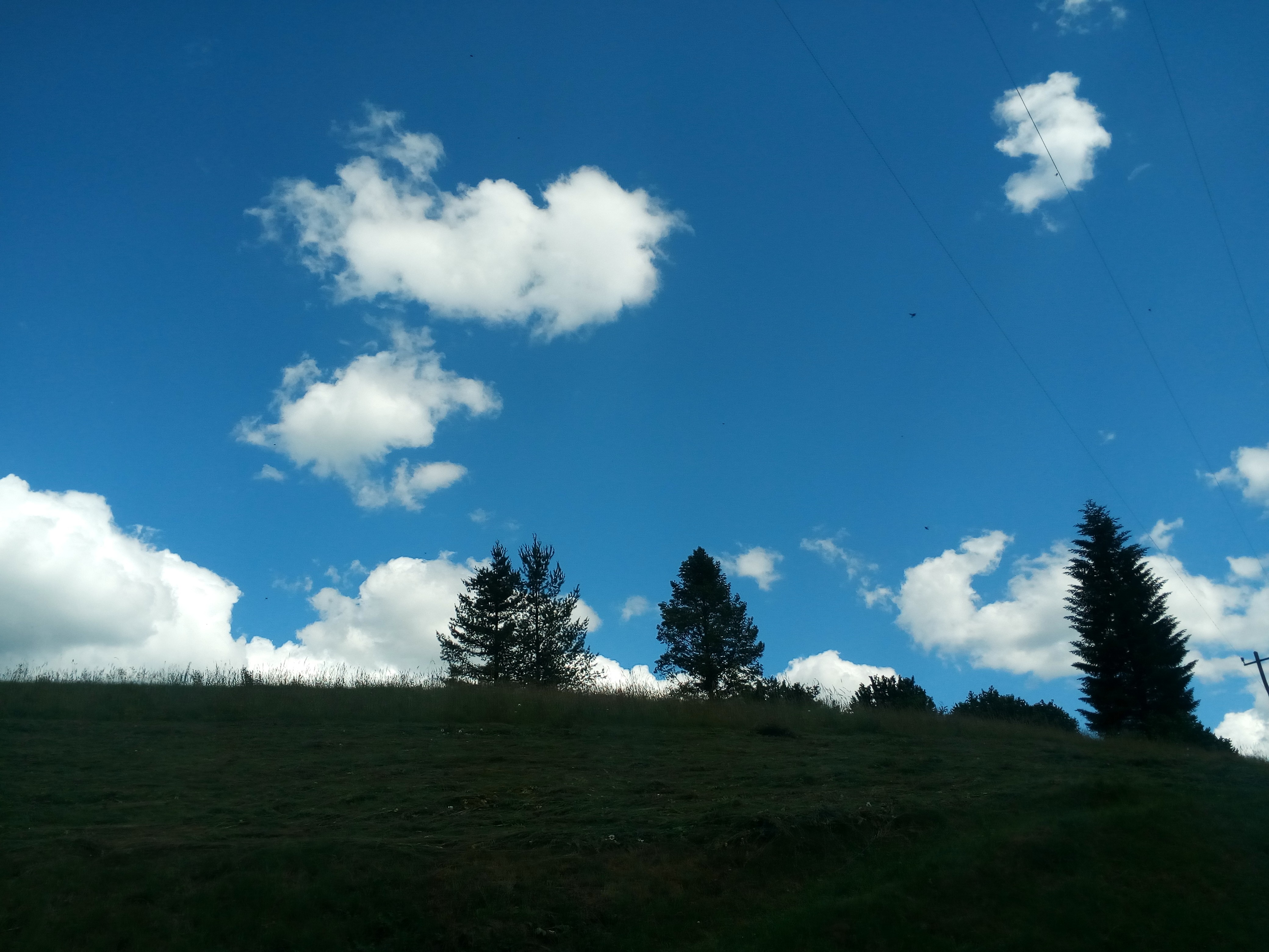 General 4160x3120 sky nature Serbia June trees outdoors clouds