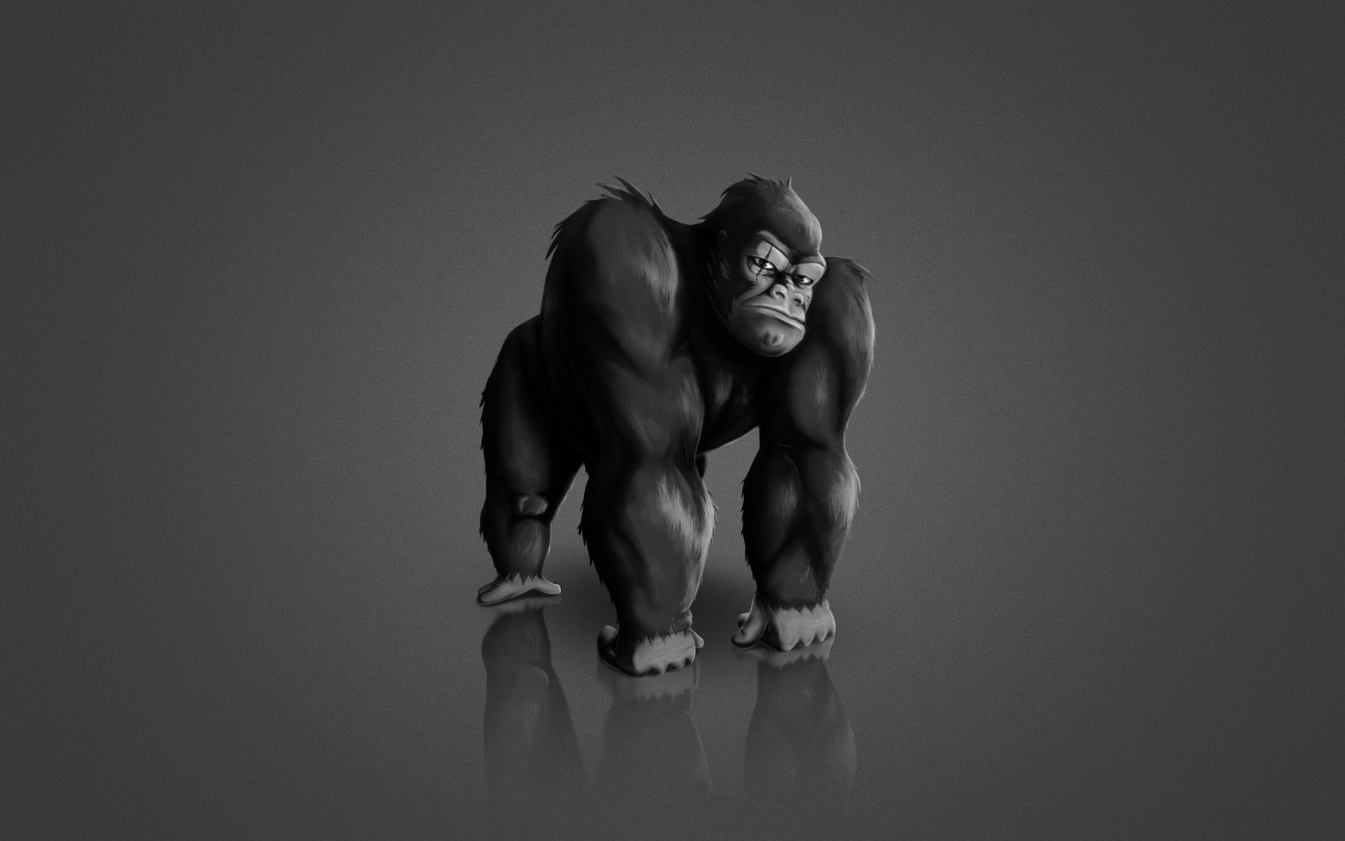 General 1920x1200 minimalism artwork simple background gorillas reflection harambe gray gray background