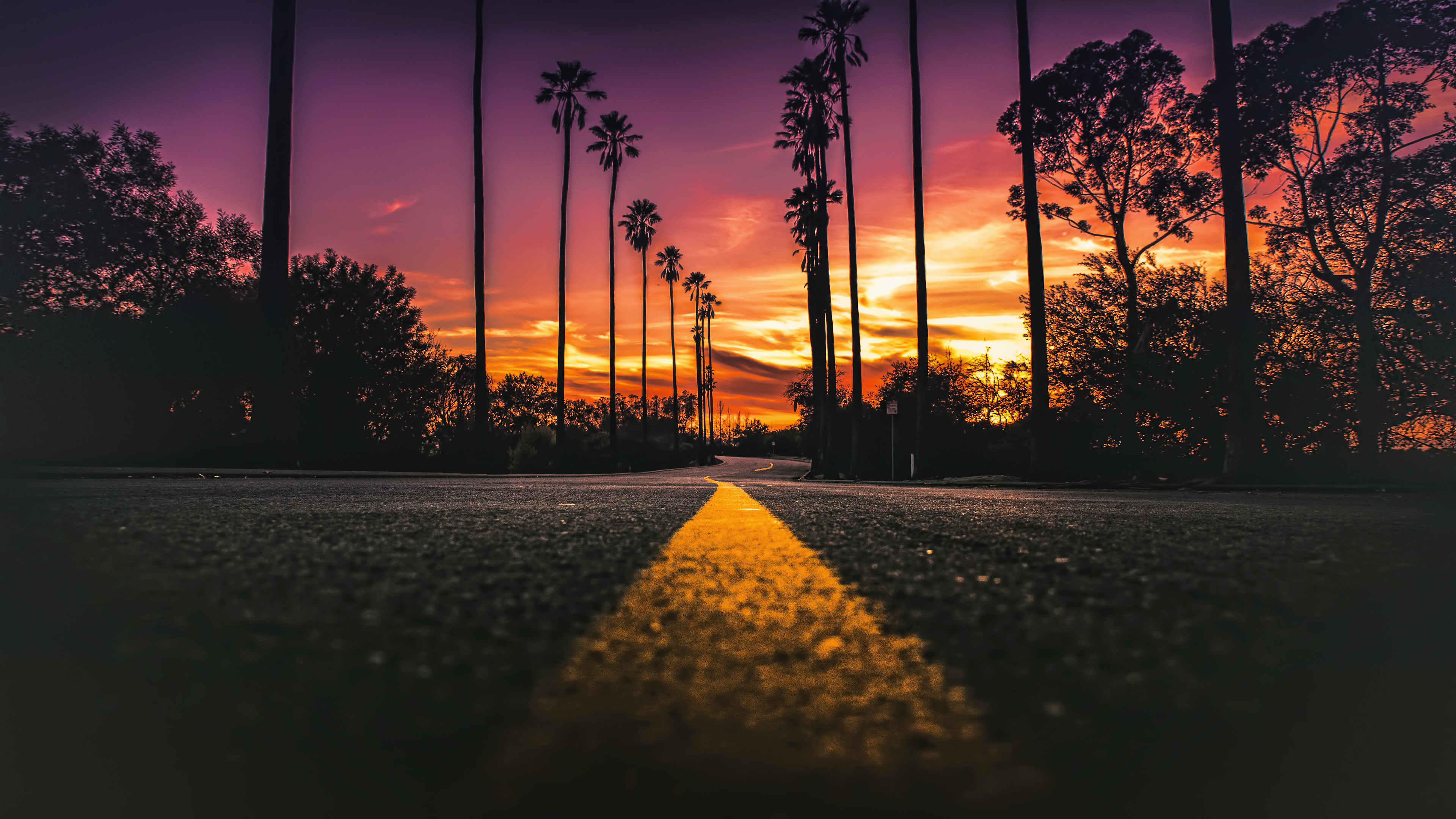 General 3840x2160 California sunlight sunset worm's eye view sunset glow sky USA street road trees