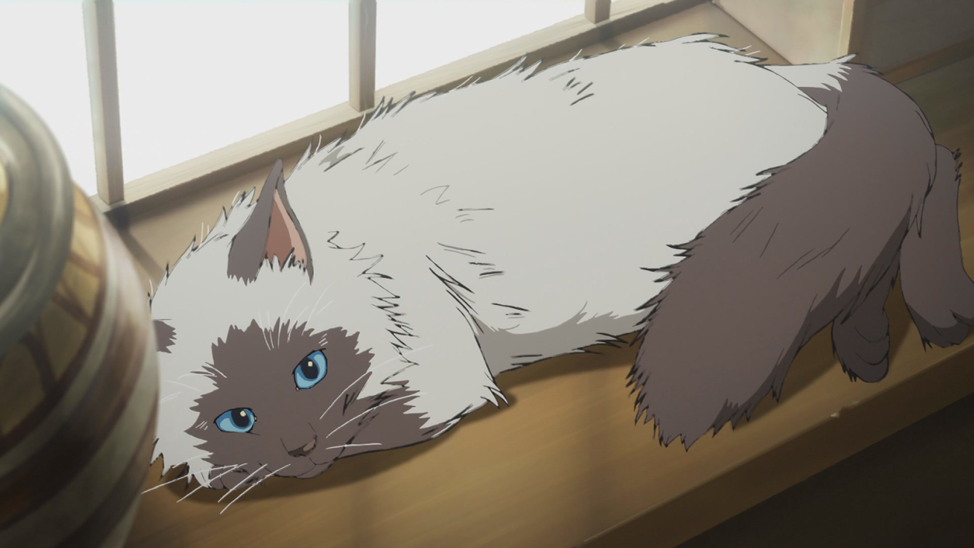 Anime 1920x1080 cats anime Granblue Fantasy
