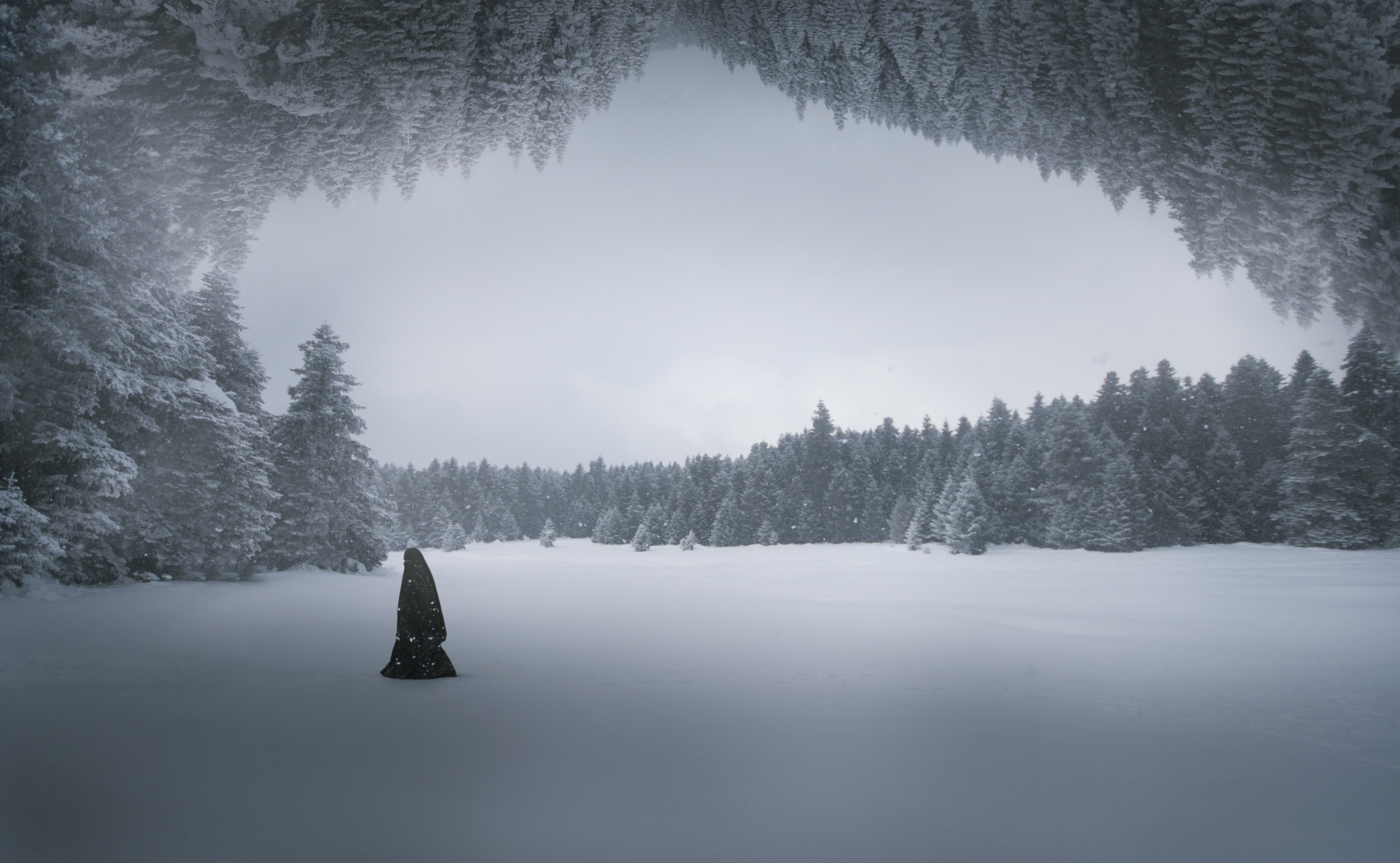 General 2048x1262 Ozkan Durakoglu nature winter digital art loneliness outdoors trees 500px snow snowing overcast