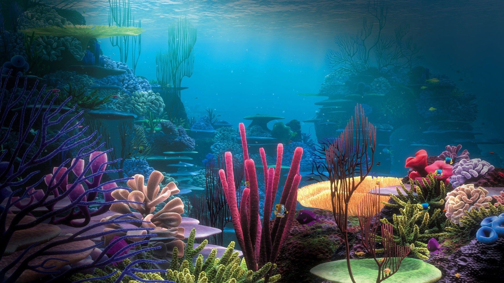 General 1920x1080 water underwater sea coral colorful Linux