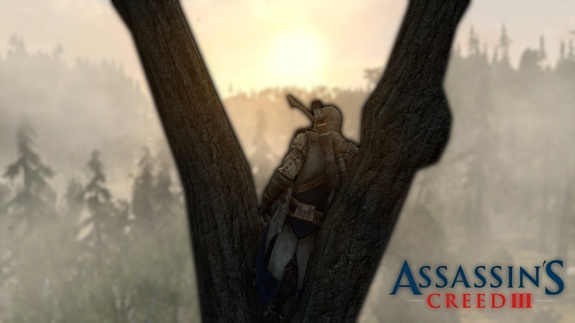 General 1920x1080 Assassin's Creed pine trees sun rays