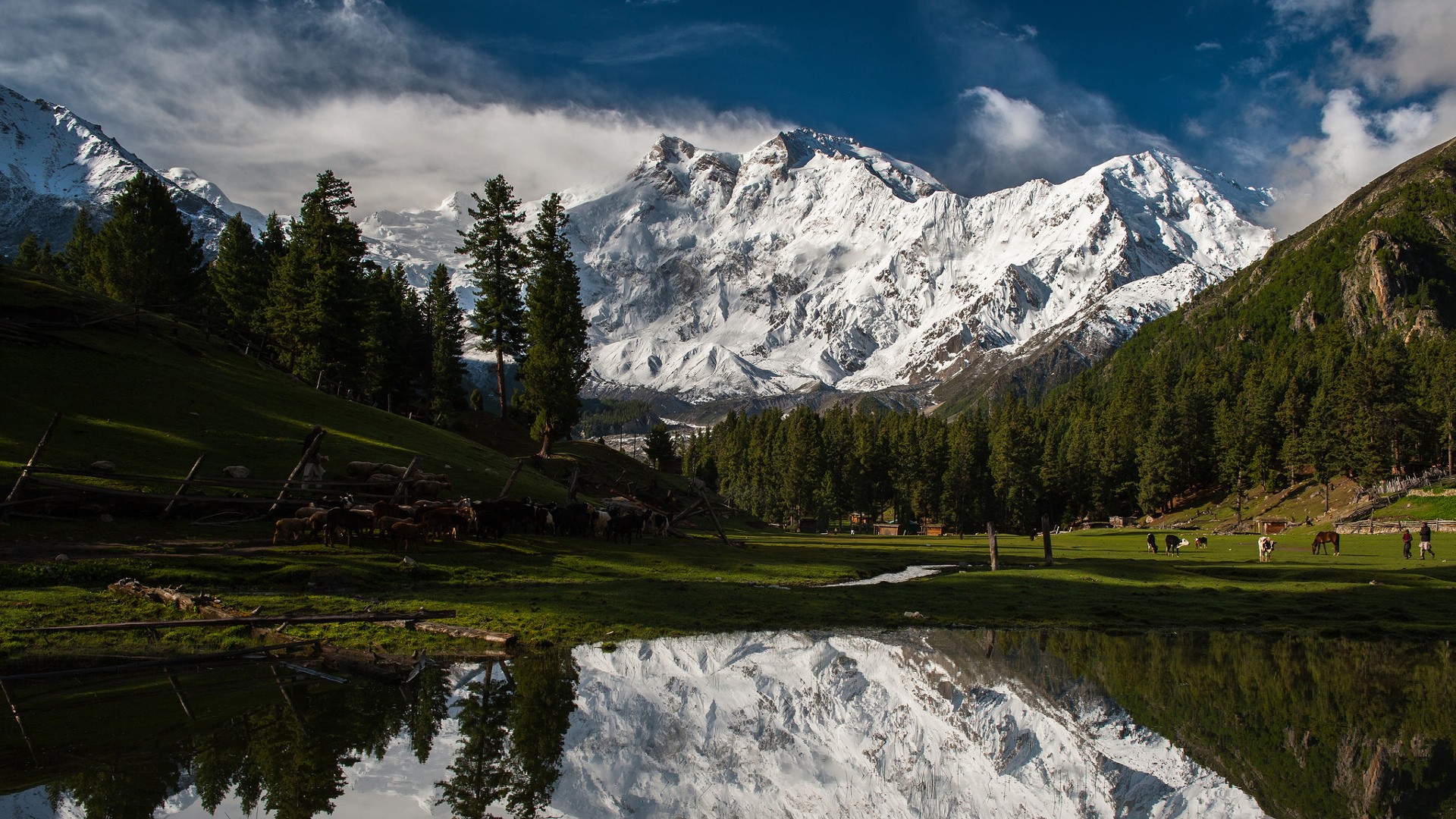 General 1920x1080 mountains snow forest trees pine trees Pakistan lake reflection