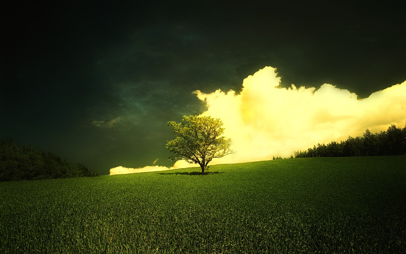 General 1680x1050 landscape trees clouds grass field Agro (Plants)
