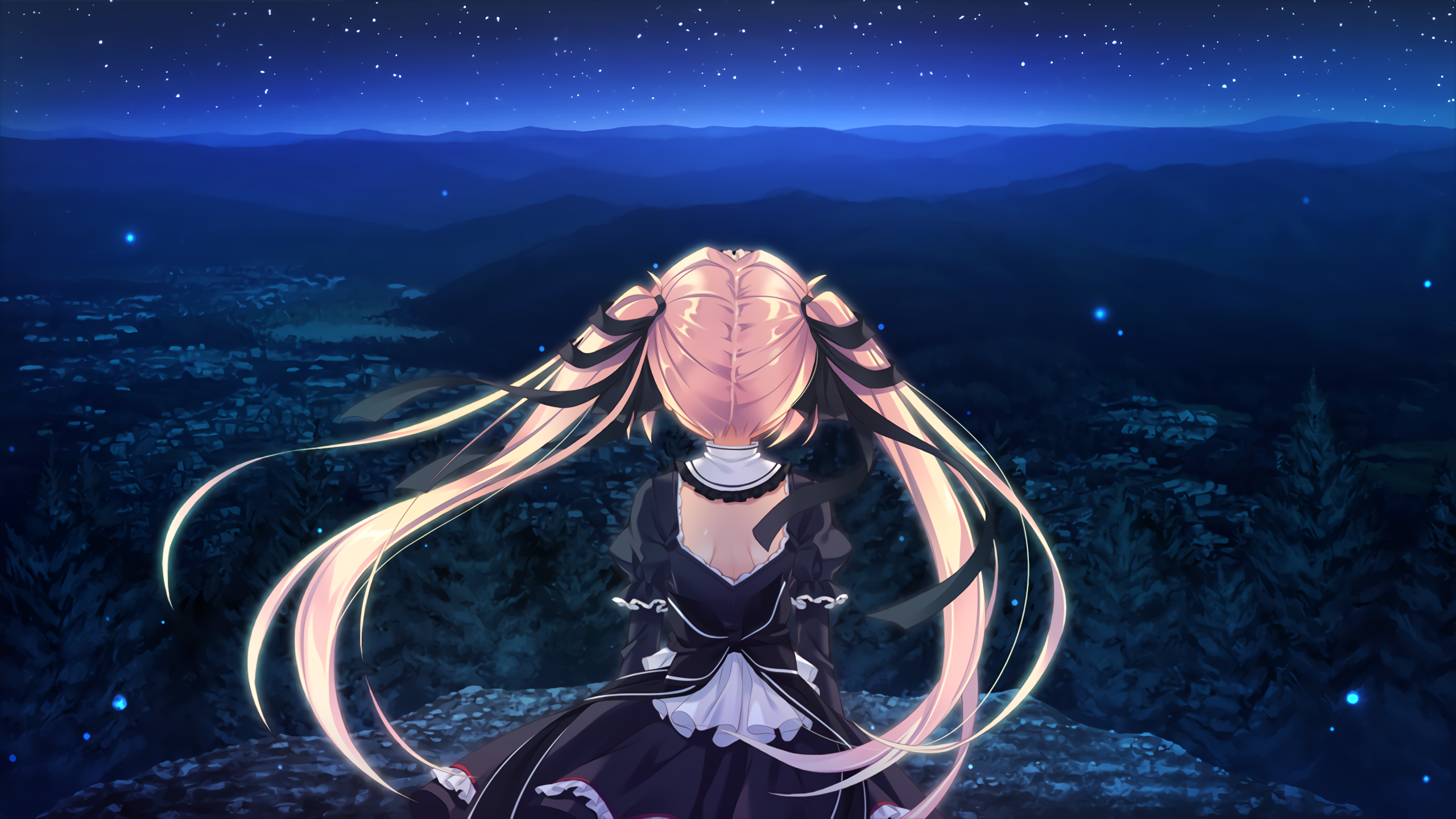 Anime 2560x1440 anime anime girls night landscape long hair sky