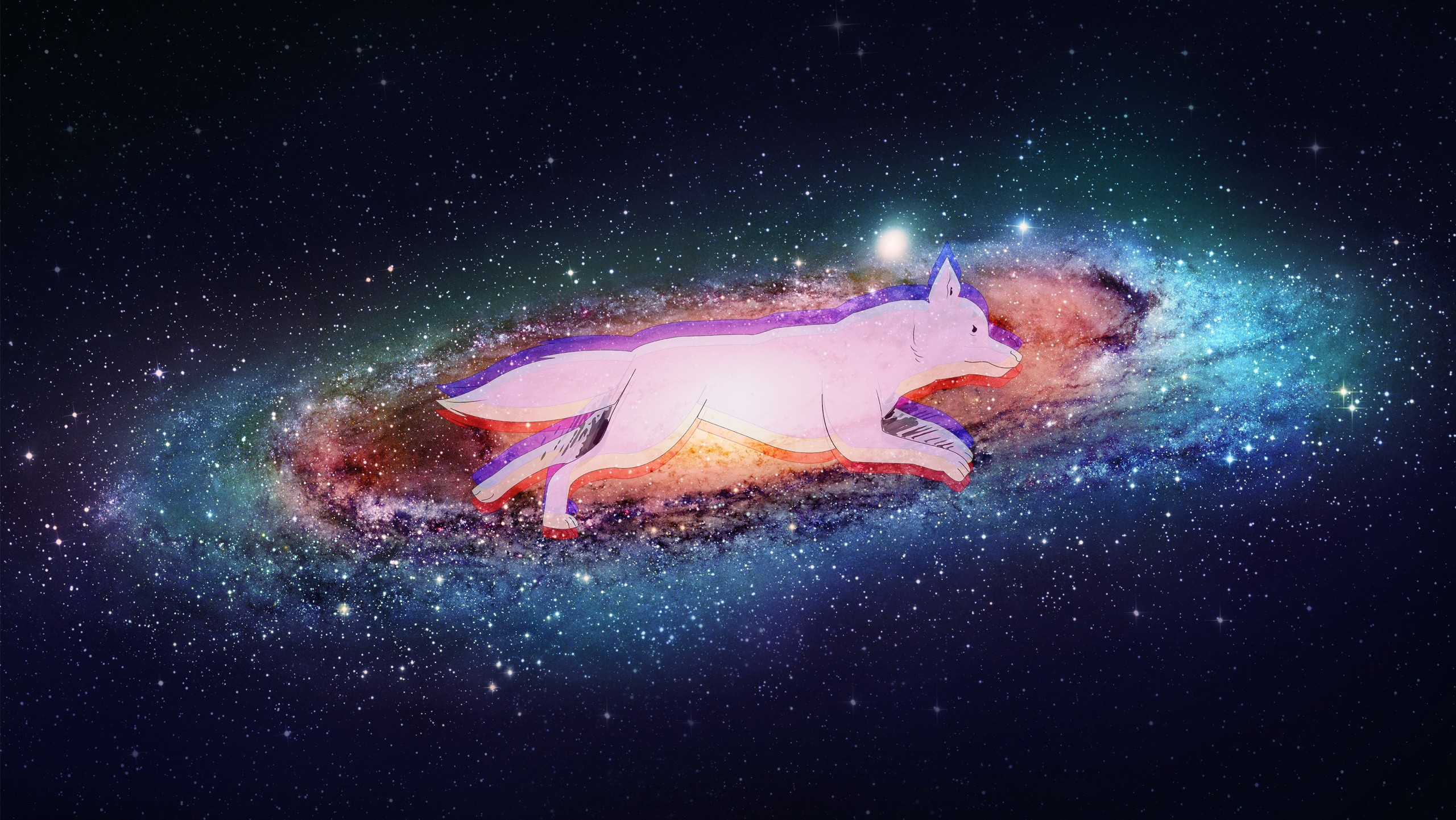 Anime 2560x1441 space dog stars artwork