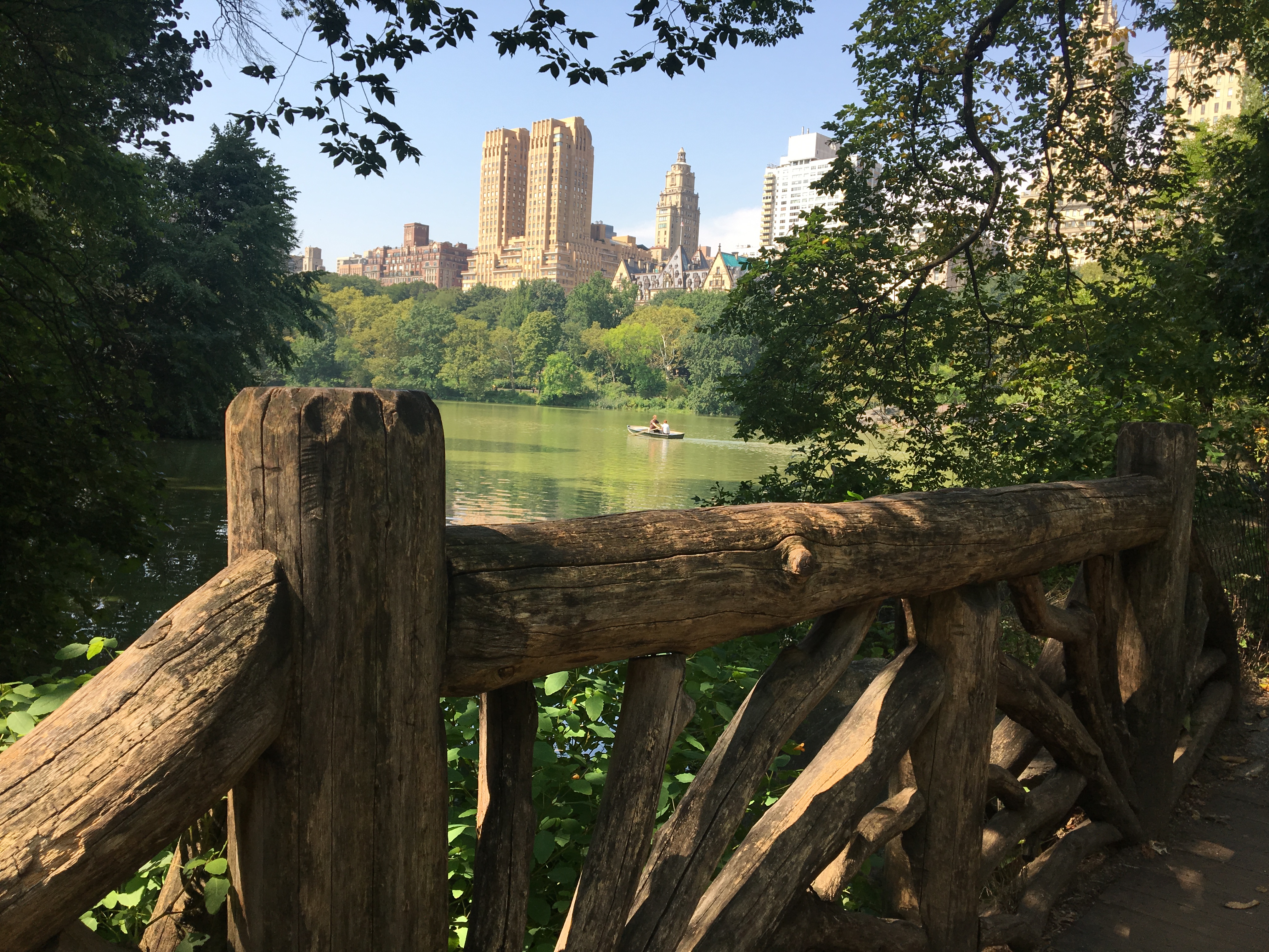 General 4032x3024 nature natural light New York City Central Park fence